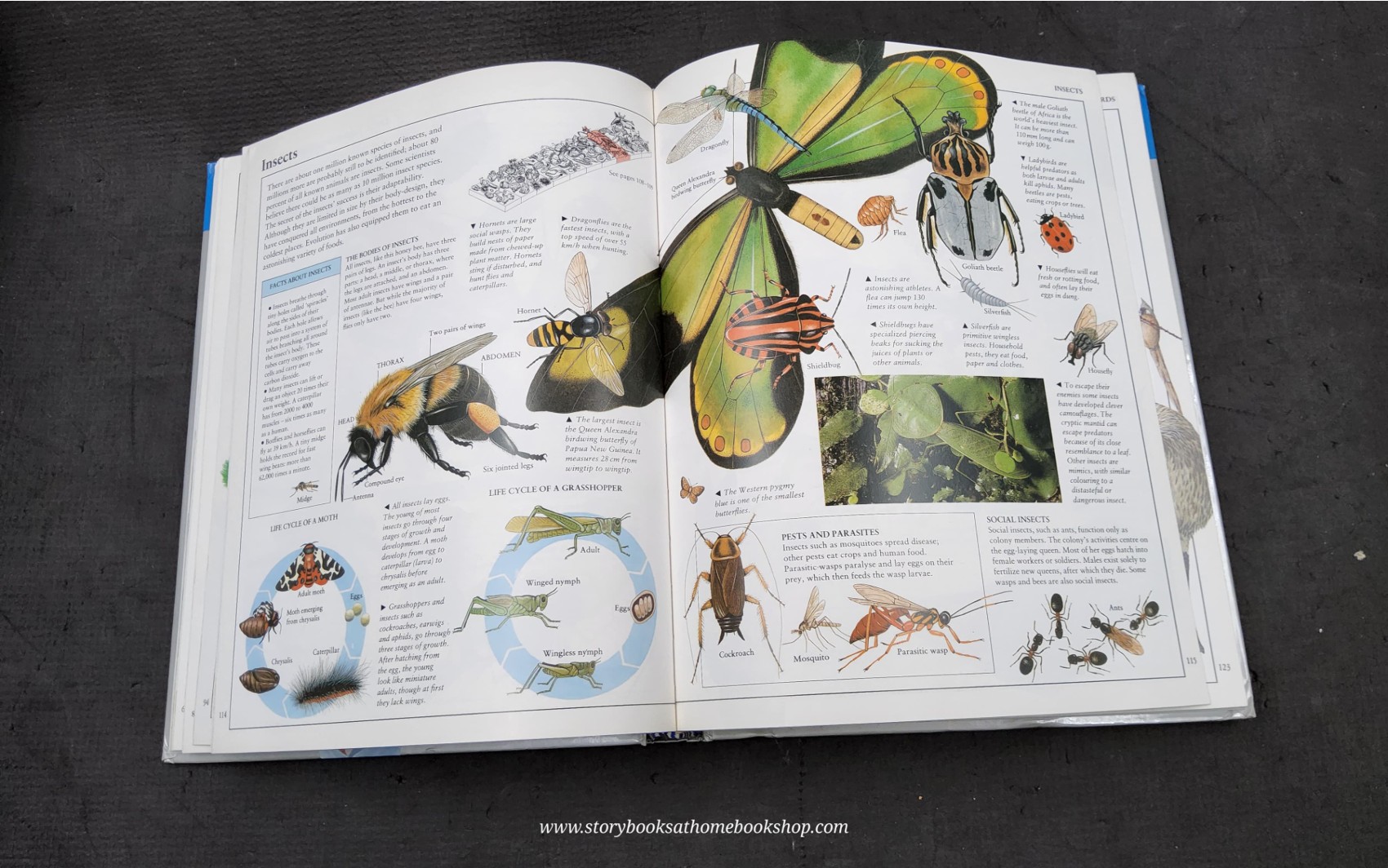 KNOWLEDGE BOOK ** 🍅🍓 VISUAL ENCYCLOPEDIA OF SCIENCE