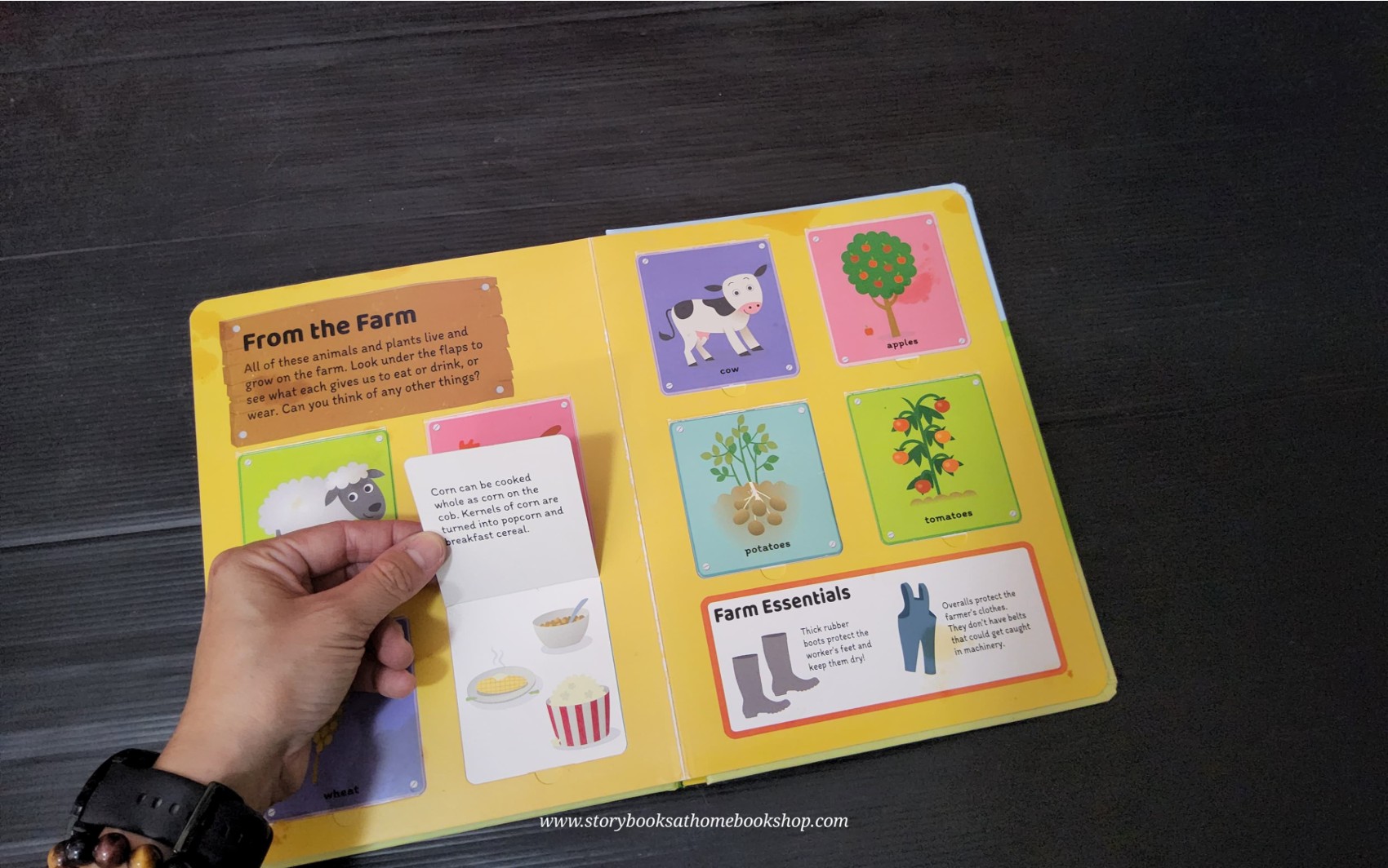 FLAPS BOARD BOOK ** 🍅🍅TOWN AND ABOUT FARM