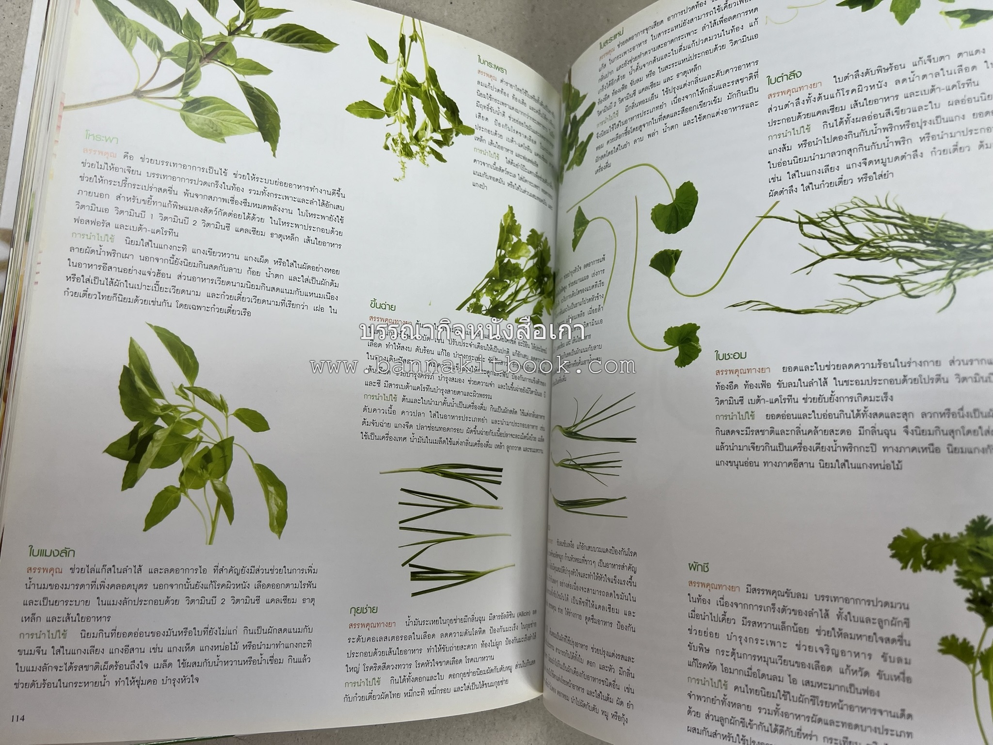 อาหารไทย...จากอดีตสู่ปัจจบัน (ตำรับดั้งเดิม ตำรับยอดนิยม และตำรับเครื่องแกงไทย โดย : มหาวิทยาลัยสวนดุสิต และสถาบันอาหาร (NFI).