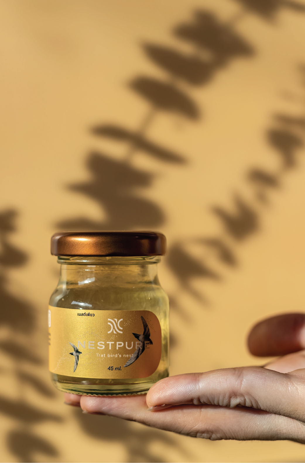 รังนกขวดพร้อมดื่ม รังนกแท้ เนื้อแน่น รังนกต้มสด รังนกปลอดภัยสารกันบูด สารคงตัว