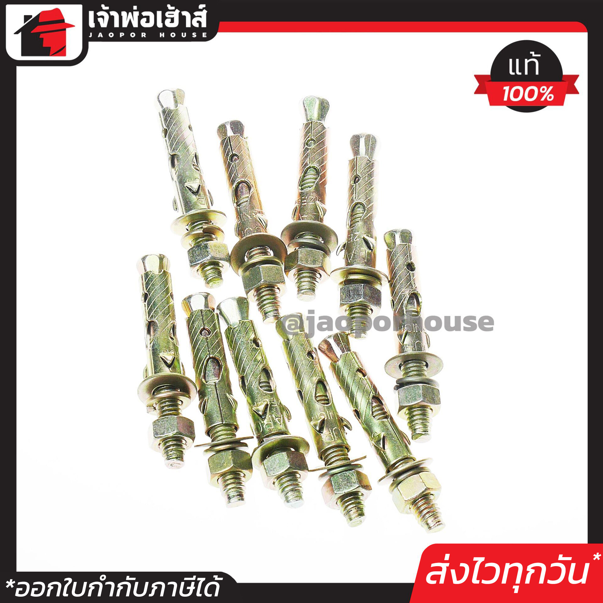 พุกเหล็ก พุ๊กเหล็ก 5/16 นิ้ว (2-1/2หุน) แพ็ค 1-100 ชิ้น พุก พุ๊ก ปุ๊ก ปุ๊กเหล็ก น็อตฝังคอนกรีต Labour D54-03