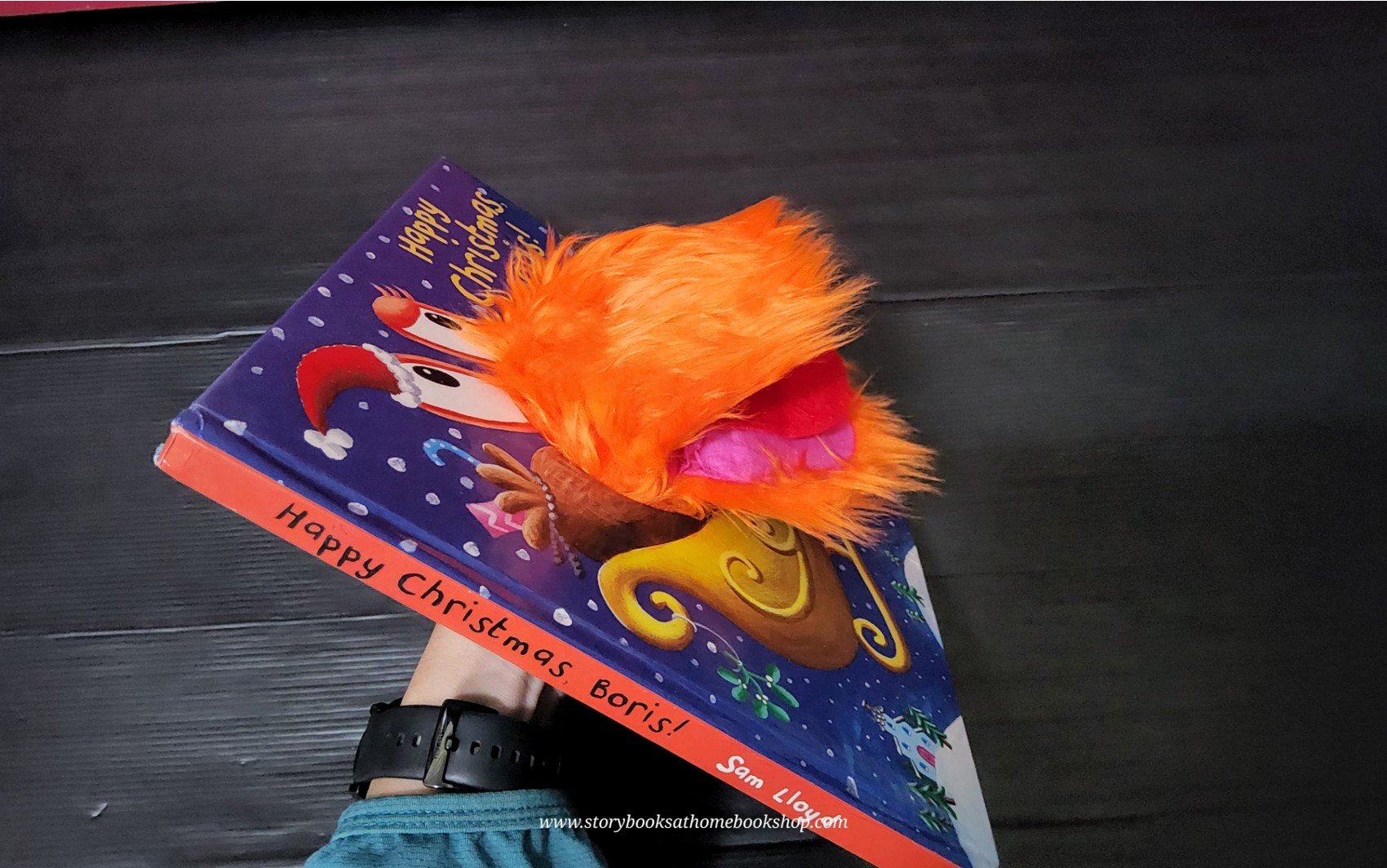 PUPPET BOOK 🍅🍅HAPPY CHRISTMAS BORIS! BY SAM LLOYD