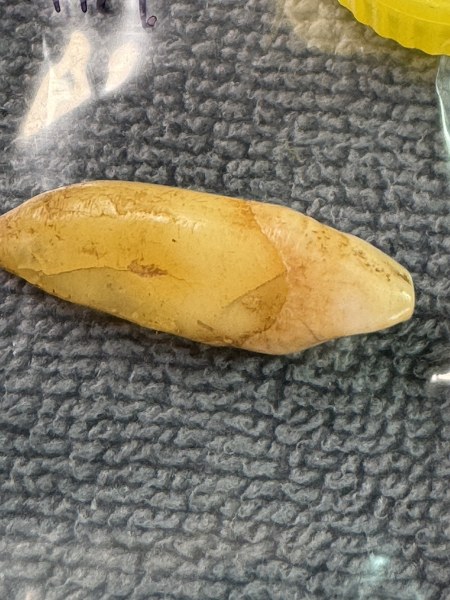 พระทันตธาตุ หลวงพ่อสาย วัดท่าไม้แดง จ.ตาก ผมได้พระทันตธาตุครูบาต่าง ๆ มาจากคุณปู่เสน่ห์ อายุ 83 ปี อดีตรับราชการครู เป็นครู และเป็น ผ.อ. ในโรงเรียนหลายจังหวัดในภาคเหนือ ปลดเกษียณมาแล้ว 23 ปี (บันทึก 2567) ปัจจุบันนี้ปู่เสน่ห์ะทำ resort จังหวัดแพร่