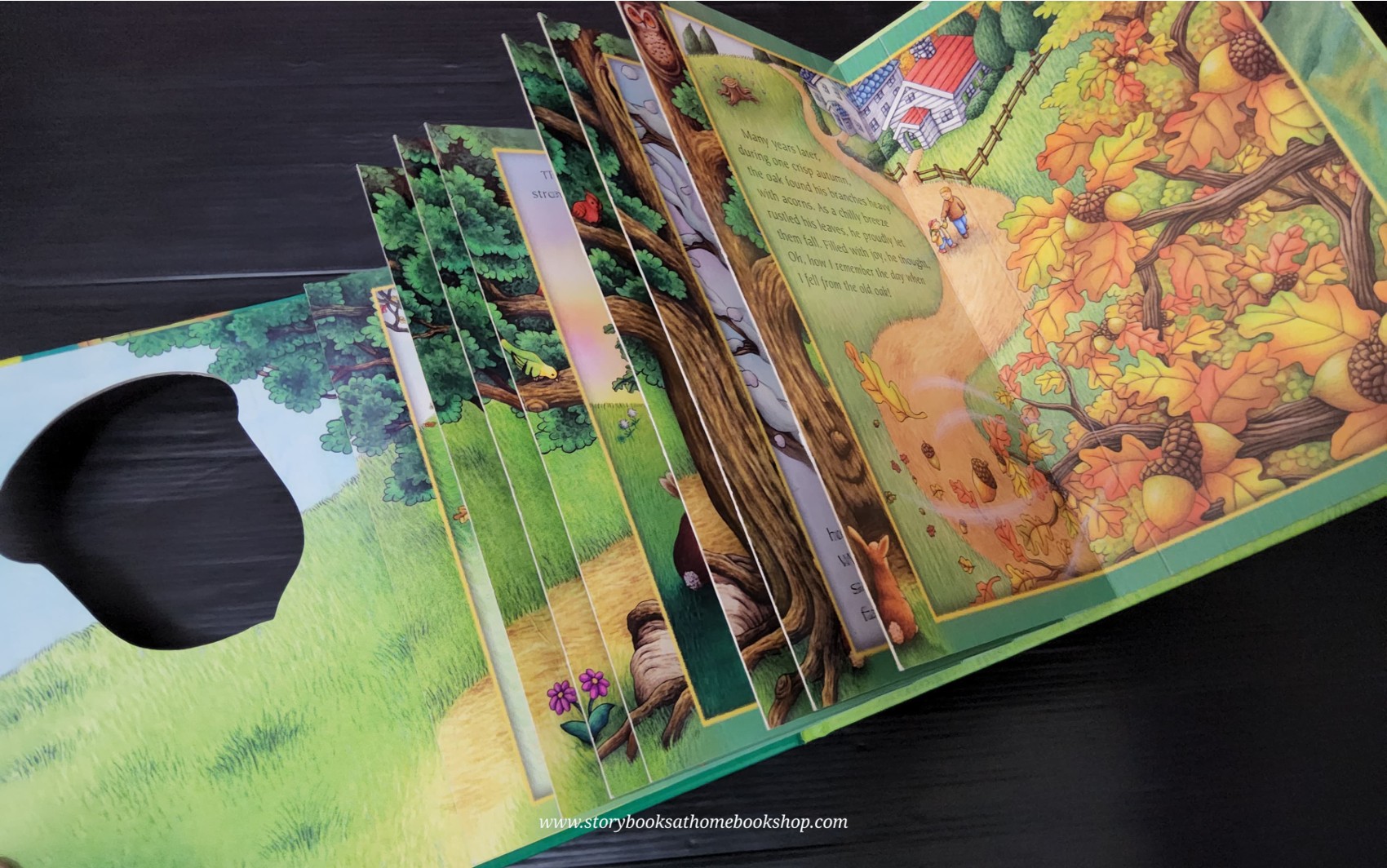 หนังสือนิทานปกแข็ง** 🍅🍅THE ACORN AND THE OAK TREE