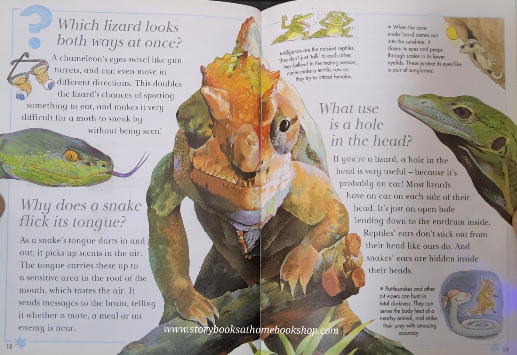 KNOWLEDGE BOOK** 🍅🍓I Wonder Why SNAKES SHED THEIR SKIN and other questions about reptiles