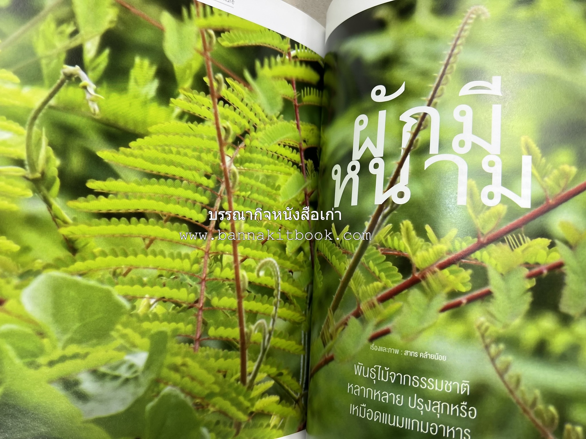 ตำรับอาหารเหนือ ถิ่นล้านนา ของกินบ้านเฮา นิตยสารครัว ฉบับมกราคม 2558.