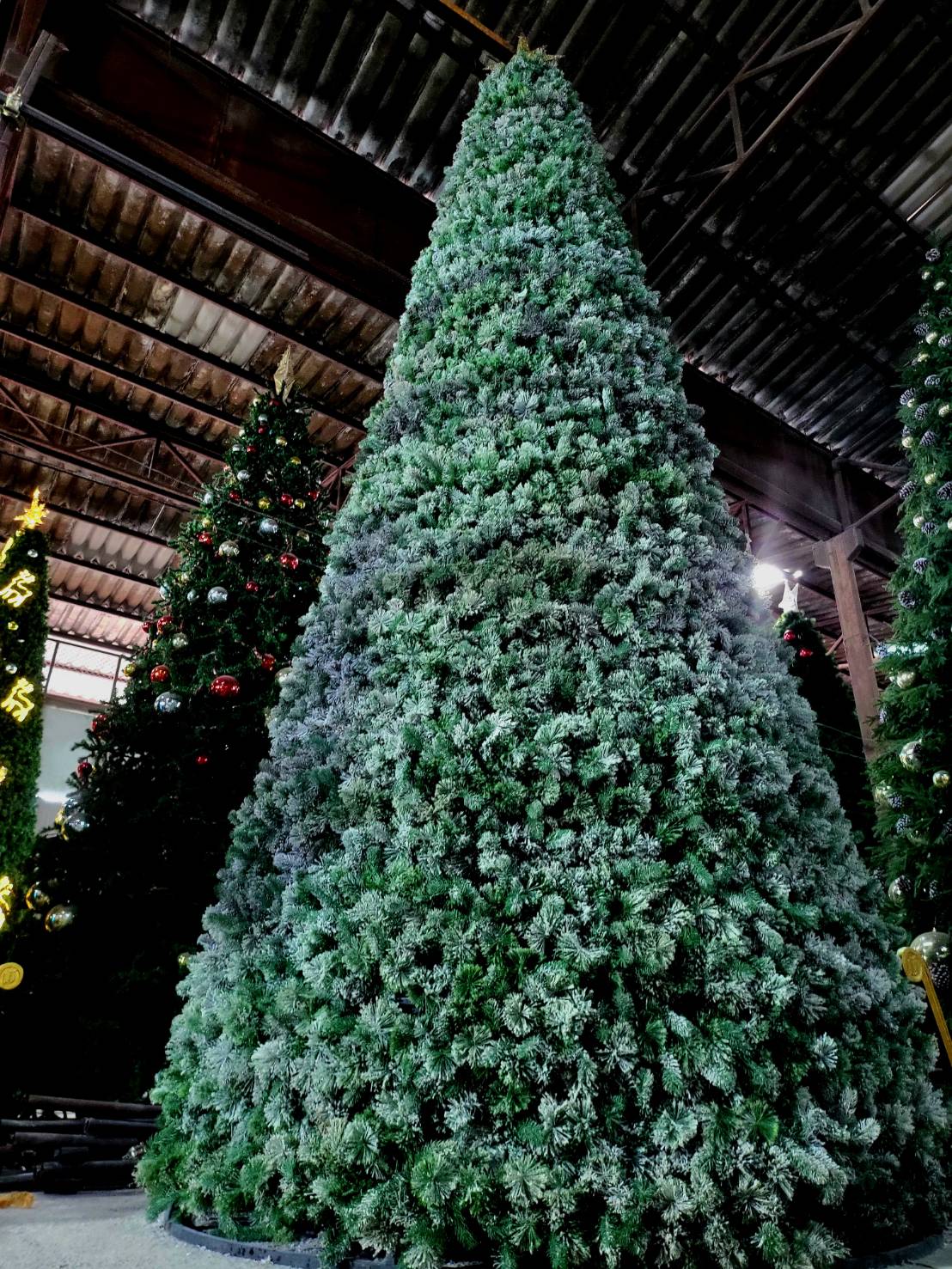 รูปภาพถ่ายต้นคริสต์มาสปลอมทรงกรวย ขนาดต่างๆ ที่เน้นไปในขนาดความสูงของต้นคริสต์มาสทรงกรวยขนาด 6เมตร ใบสนvipหิมะ