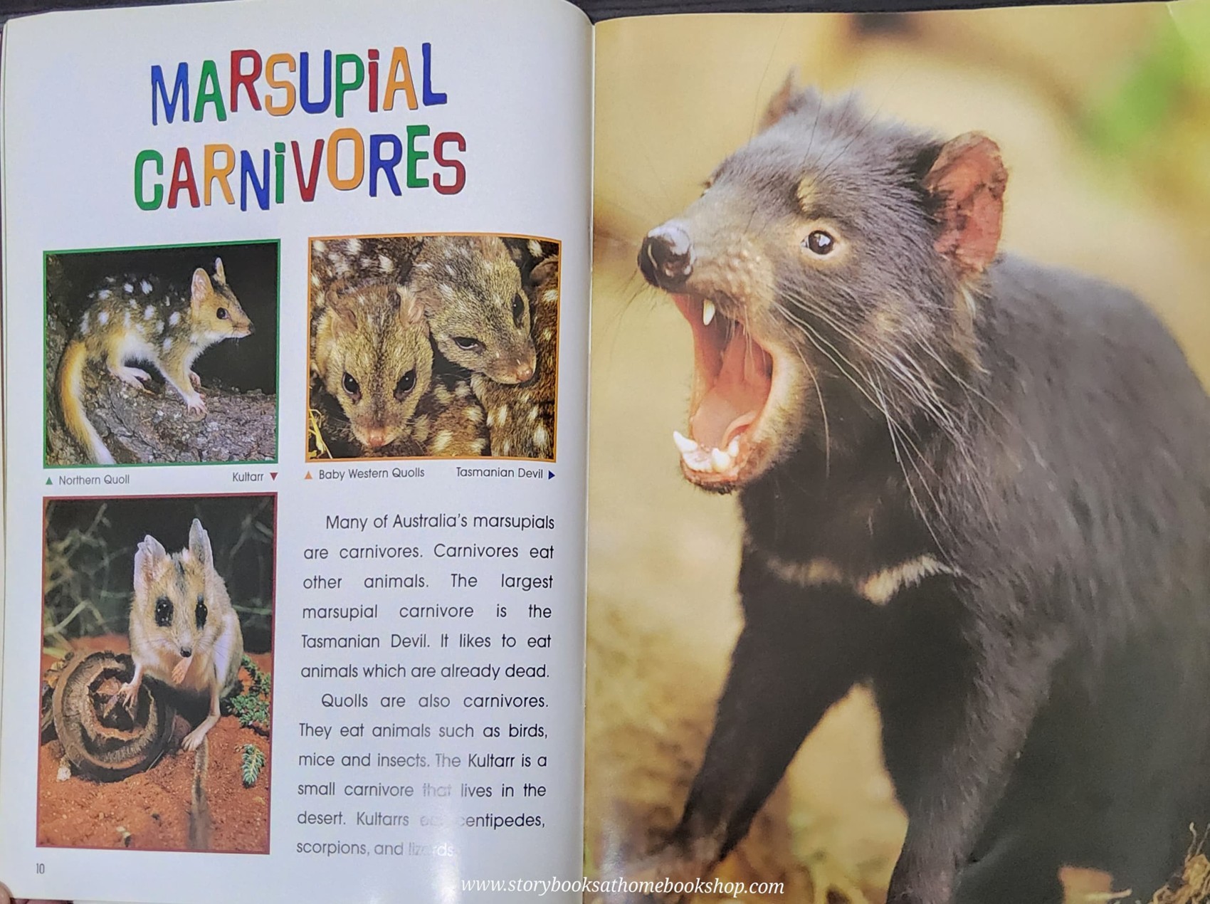 KNOWLEDGE BOOK** ð
ðNATURE KIDS AUSTRALIAN WILDLIFE