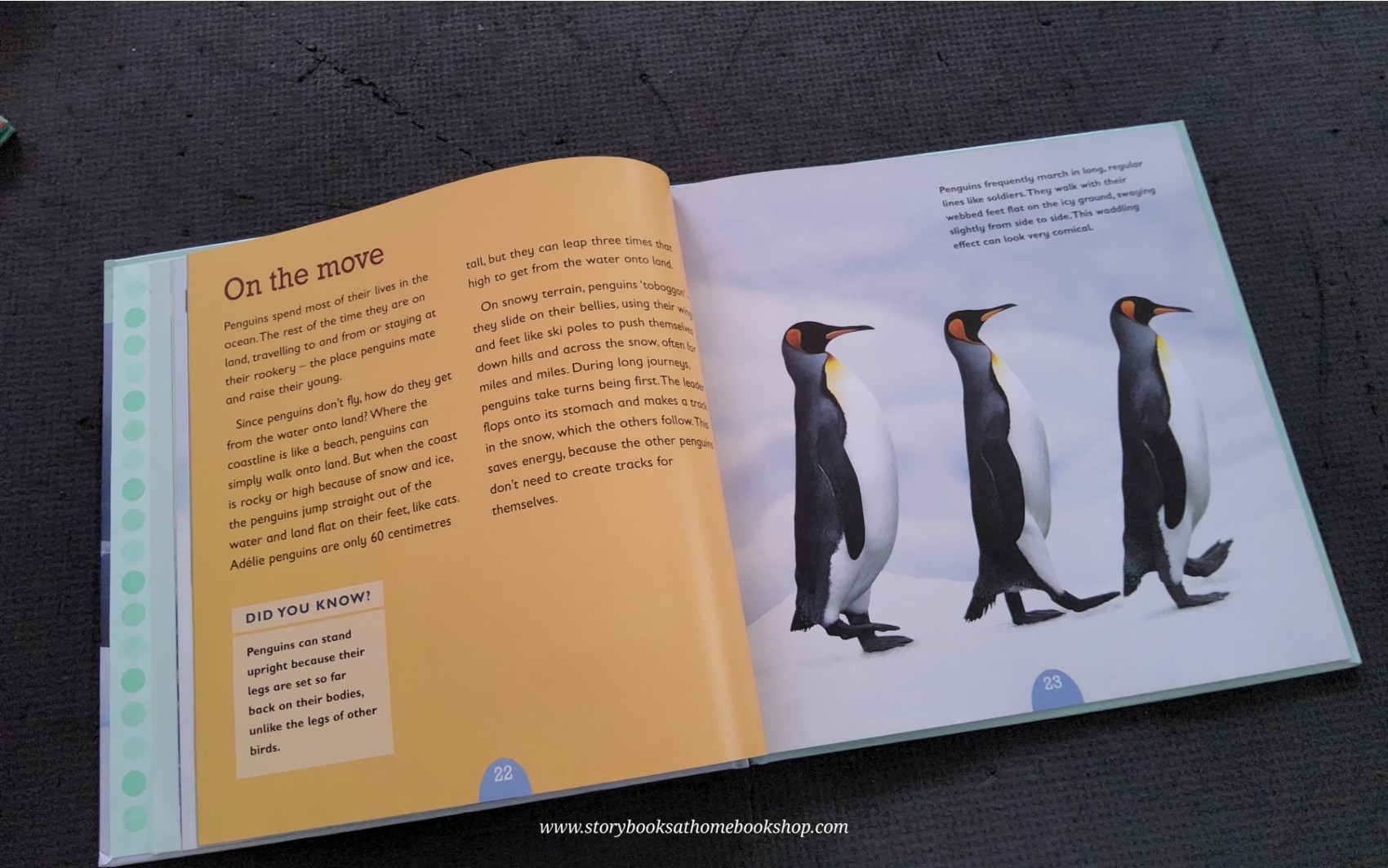KNOWLEDGE BOOK** ♥️♥️ALL ABOUT ANIMAL:PENGUINS