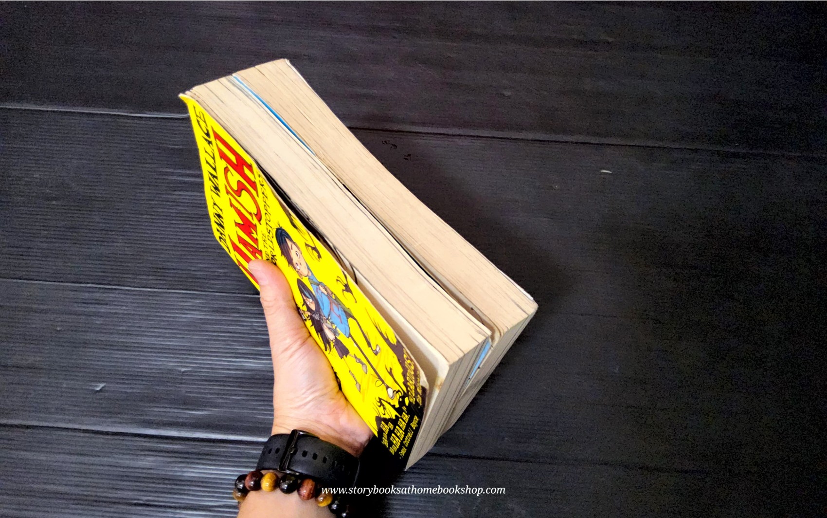 วรรณกรรมเยาวชน** 🍅[SET 2 BOOKS] HAMISH AND THE NEVER PEOPLE+THE WORLD STOPPERS BY DENNY WALLACE