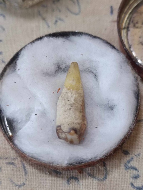 พระทันตธาตุ ครูบาอินตา วัดกู่คำ จ.ลำปาง ได้มาจากพ่อหนานชัย อายุ 75 ปี ปัจจุบันยังมีชีวิตอยู่ (บันทึก พ.ศ.2567) หากว่างจากรับใช้ครูบาอินตา ลุงหนานชัยก็จะไปขายล็อตเตอรี่ ใน อ.เมือง จ.ลำปาง ท่านได้พระทันตธาตุครูบาอินตามาเมื่อปี 2557