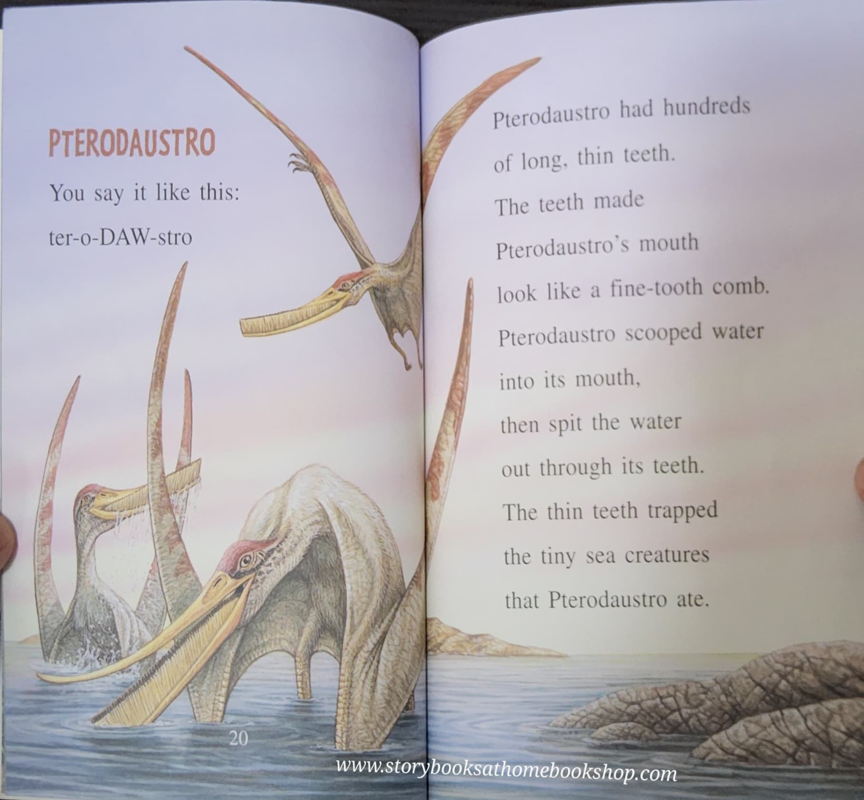 หนังสือนิทานปกอ่อน** 🍅🍅I CAN READ: BEYOND THE DINOSAURS MONSTERS OF THE AIR AND SEA