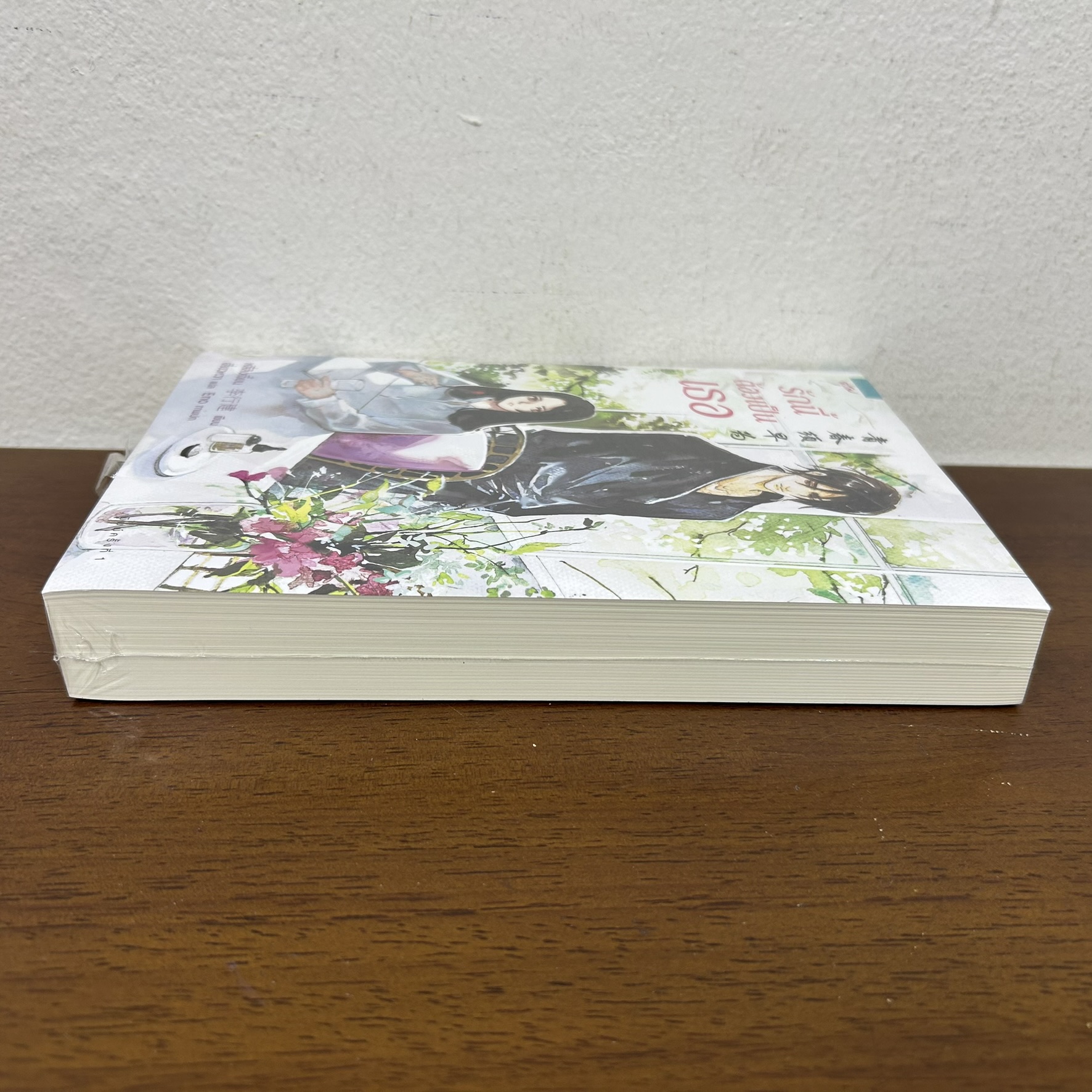 รักนี้ต้องเป็นเธอ ... หลี่สิงเจี้ยน Li Xingjian (มือหนึ่งซีล) นิยาย แปลจีน อรุณ