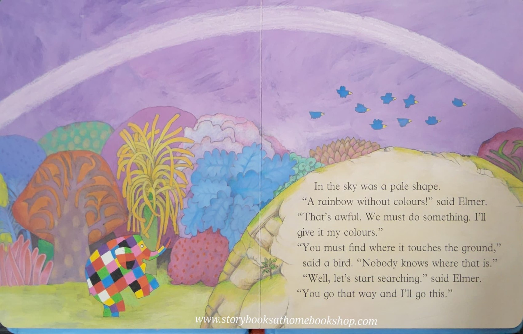 BOARD BOOK** 🍅🍓ELMER AND THE RAINBOW BY DAVID MCKEE