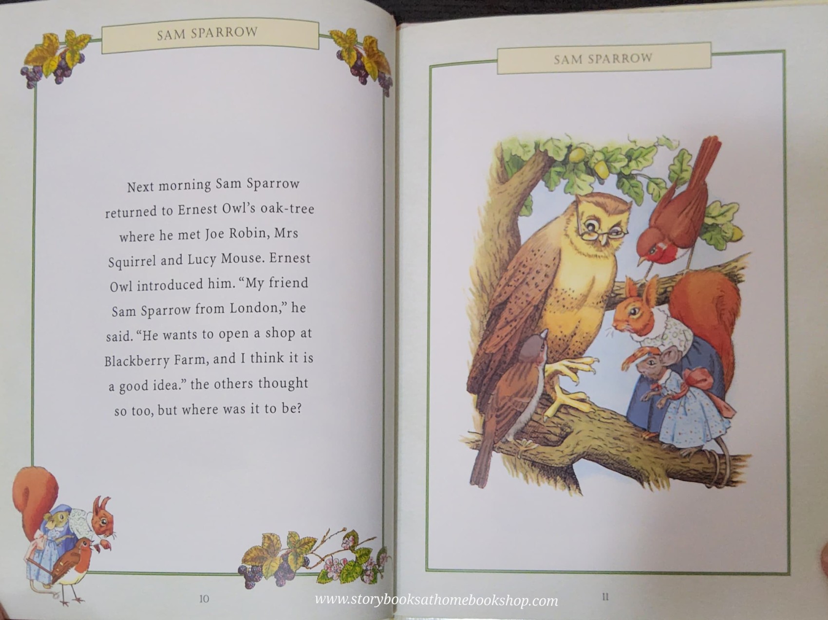 หนังสือนิทานปกแข็ง** 🍓🍓BLACKBERRY FARM SAM SPARROW BY JANE PILGRIM