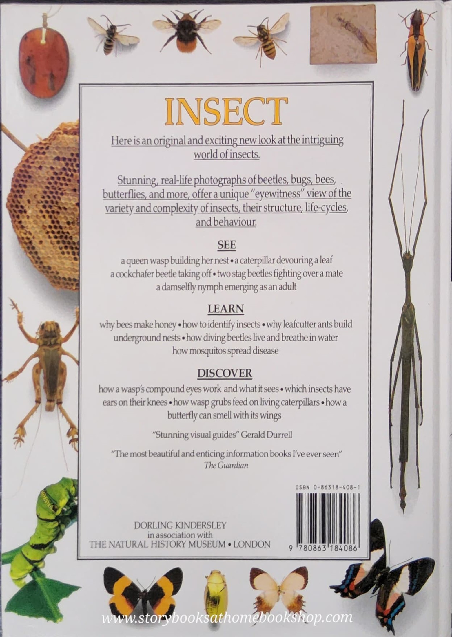 Knowledge Book** ð
ð
EYEWITNESS: INSECT