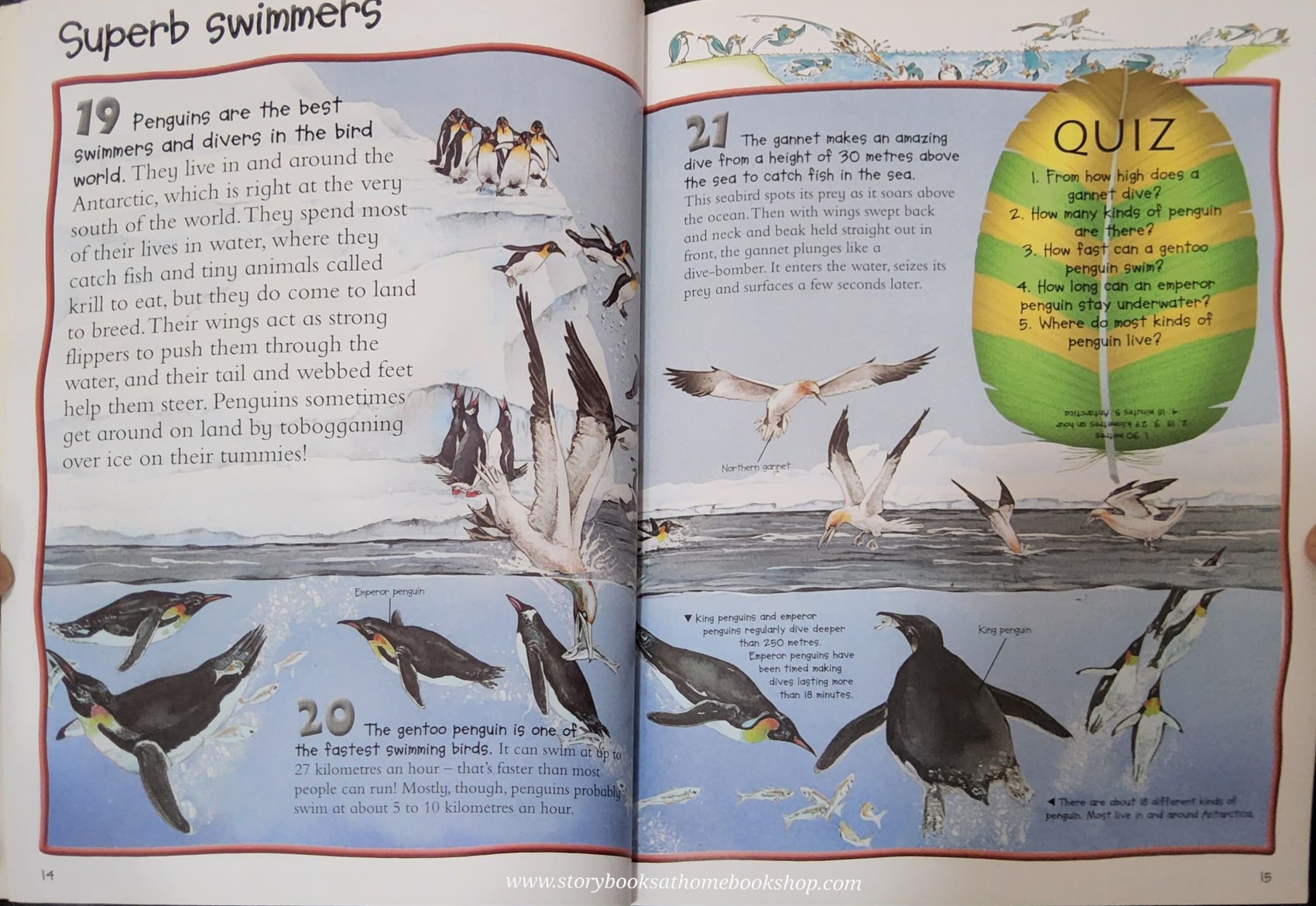 KNOWLEDGE BOOK** ð
ð100 FACTS BIRDSâĨïļ