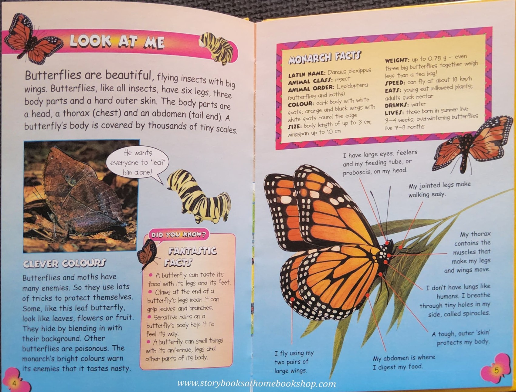 KNOWLEDGE BOOK ** 🍅🍓MY ANIMAL KINGDOM:ALL ABOUT BUTTERFLIES