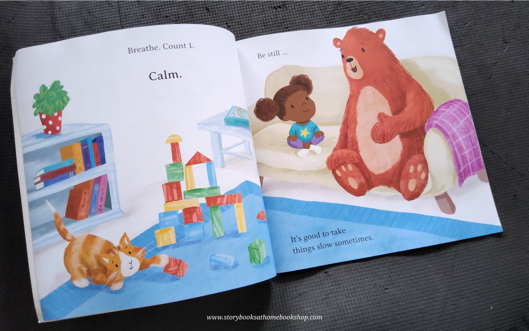 หนังสือนิทานปกอ่อน** 🍅BEAR'S LITTLE BOOK OF CALM