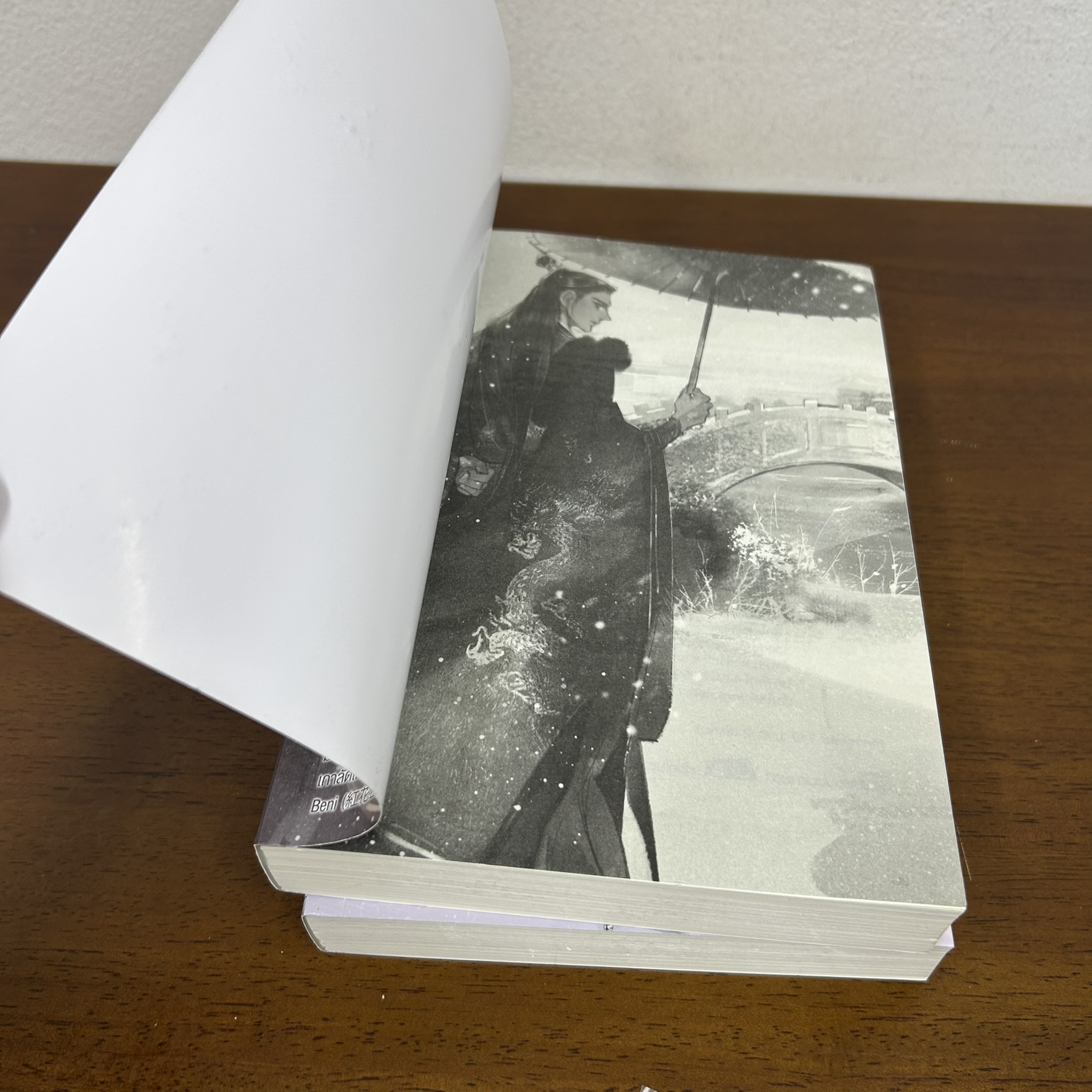 [YAOI] รัชทายาทบัญชา เล่ม 1-2 จบ ครบชุด ...ม่านม่านเหอฉีตัว (มือสอง) นิยายวาย everY