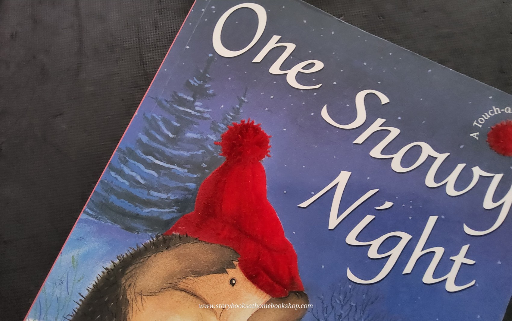 หนังสือนิทานปกอ่อน TOUCH AND FEEL** 🍅🍓ONE SNOWY NIGHT