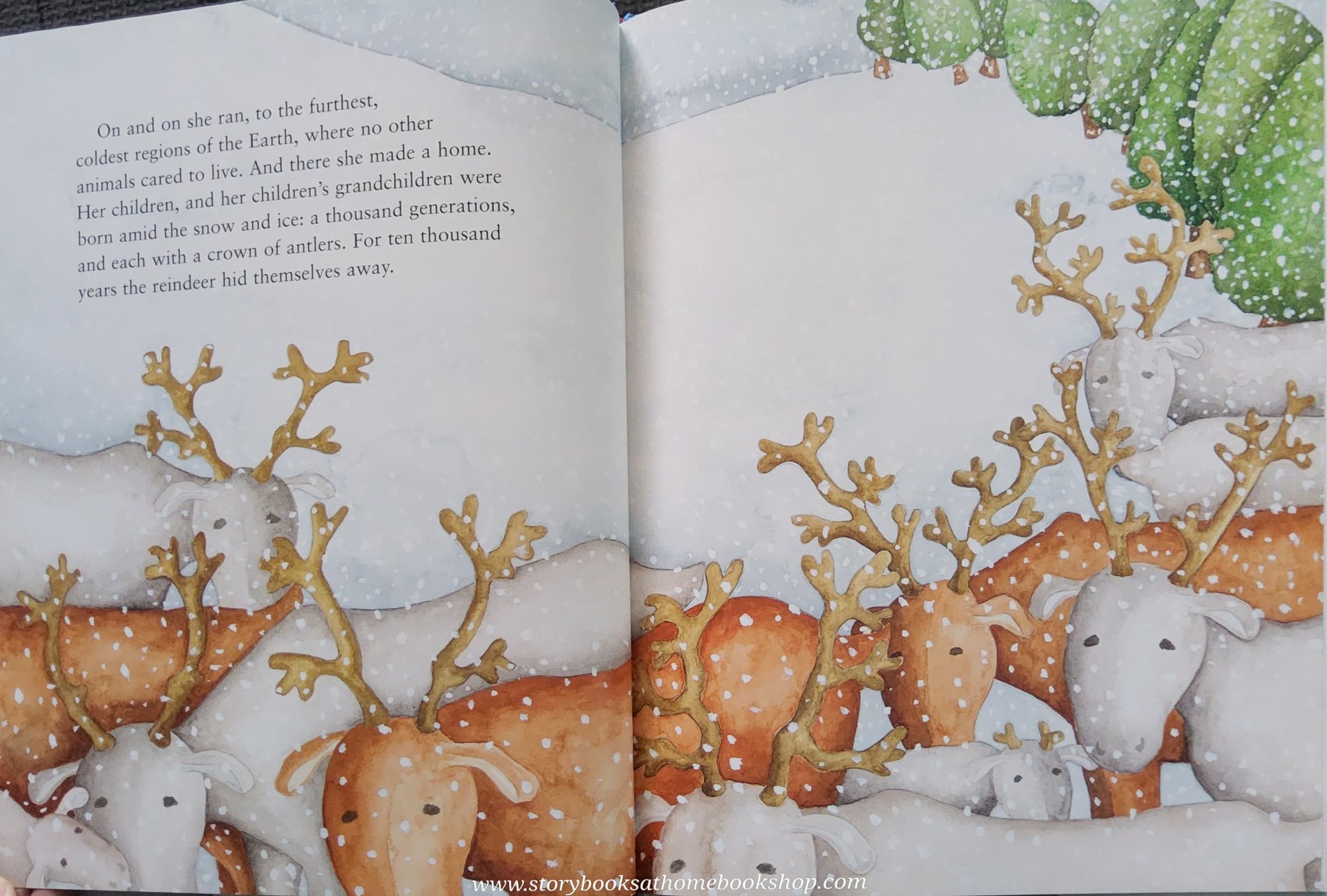 หนังสือนิทานปกแข็ง** 🍅🍅HOW THE REINDEER GOT THEIR ANTLERS BY GERALDINE McCAUGHREAN