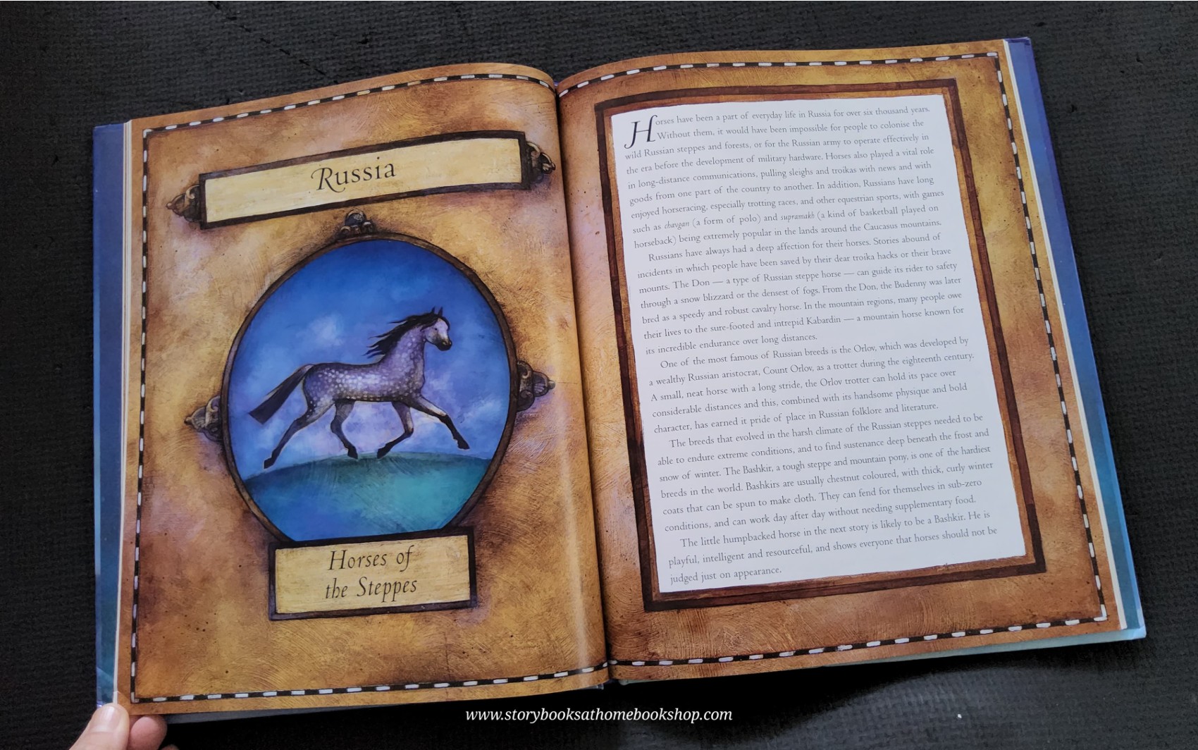 หนังสือนิทานปกแข็ง** 🍅🍓MAGIC HOOFBEATS FABULOUS HORSE TALES