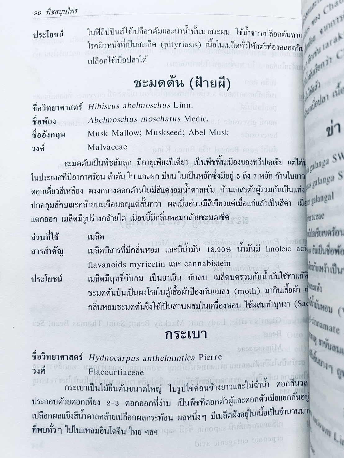 พืชสมุนไพร (ยาสมุนไพรไทย) โดย นิจศิริ เรืองรังษี, พยอม ตันติวัฒน์ คณะเภสัชศาสตร์ จุฬาลงกรณ์มหาวิทยาลัย.