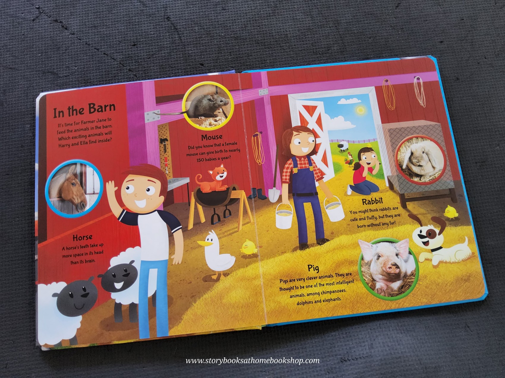 BOARD BOOK** 🍅🍓FARM EXPLORERS