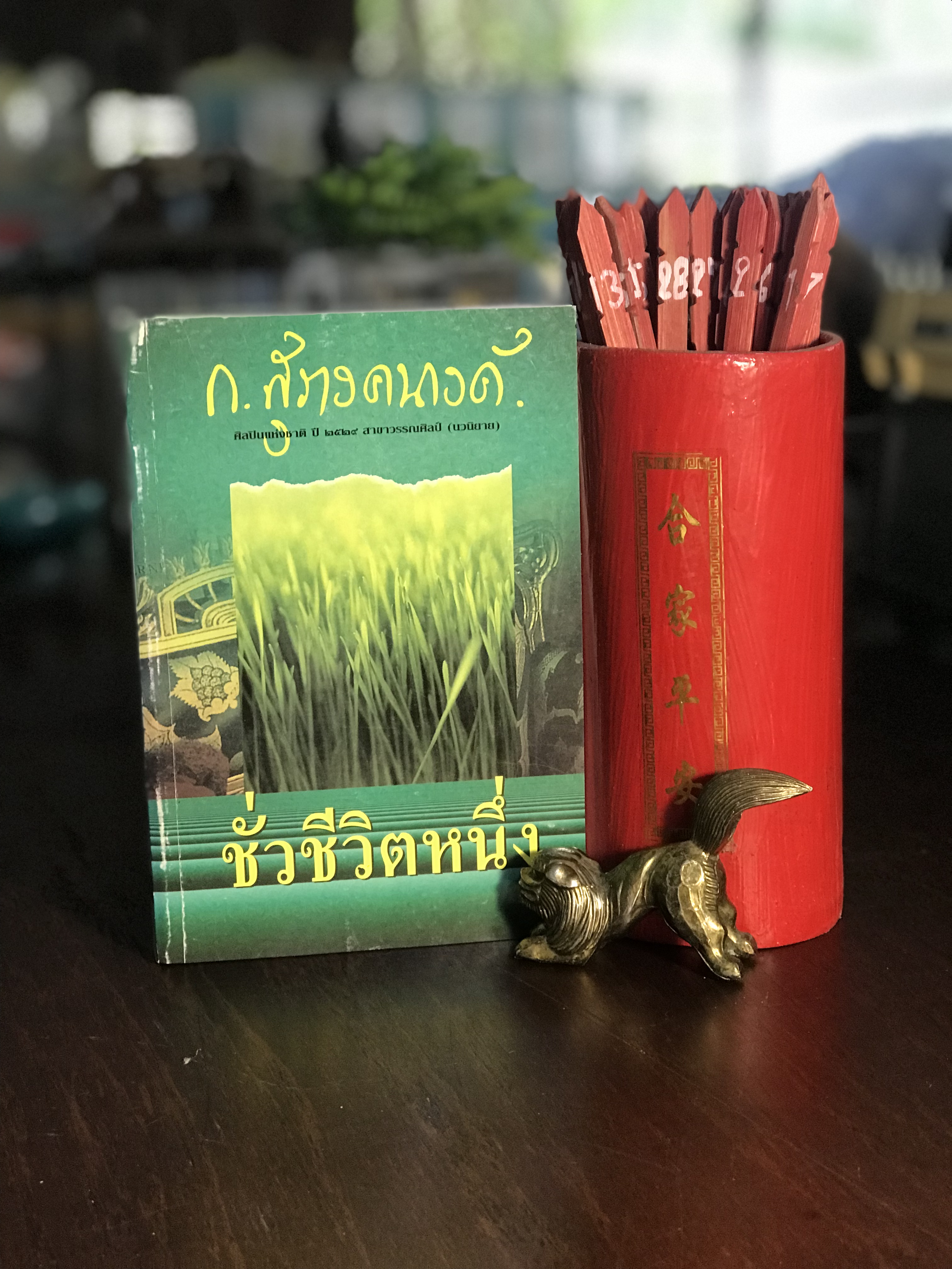 ชั่วชีวิตหนึ่ง ผู้เขียน ก.สุรางคนางค์ สำนักพิมพ์โอเดียนสโตร์ -H5-