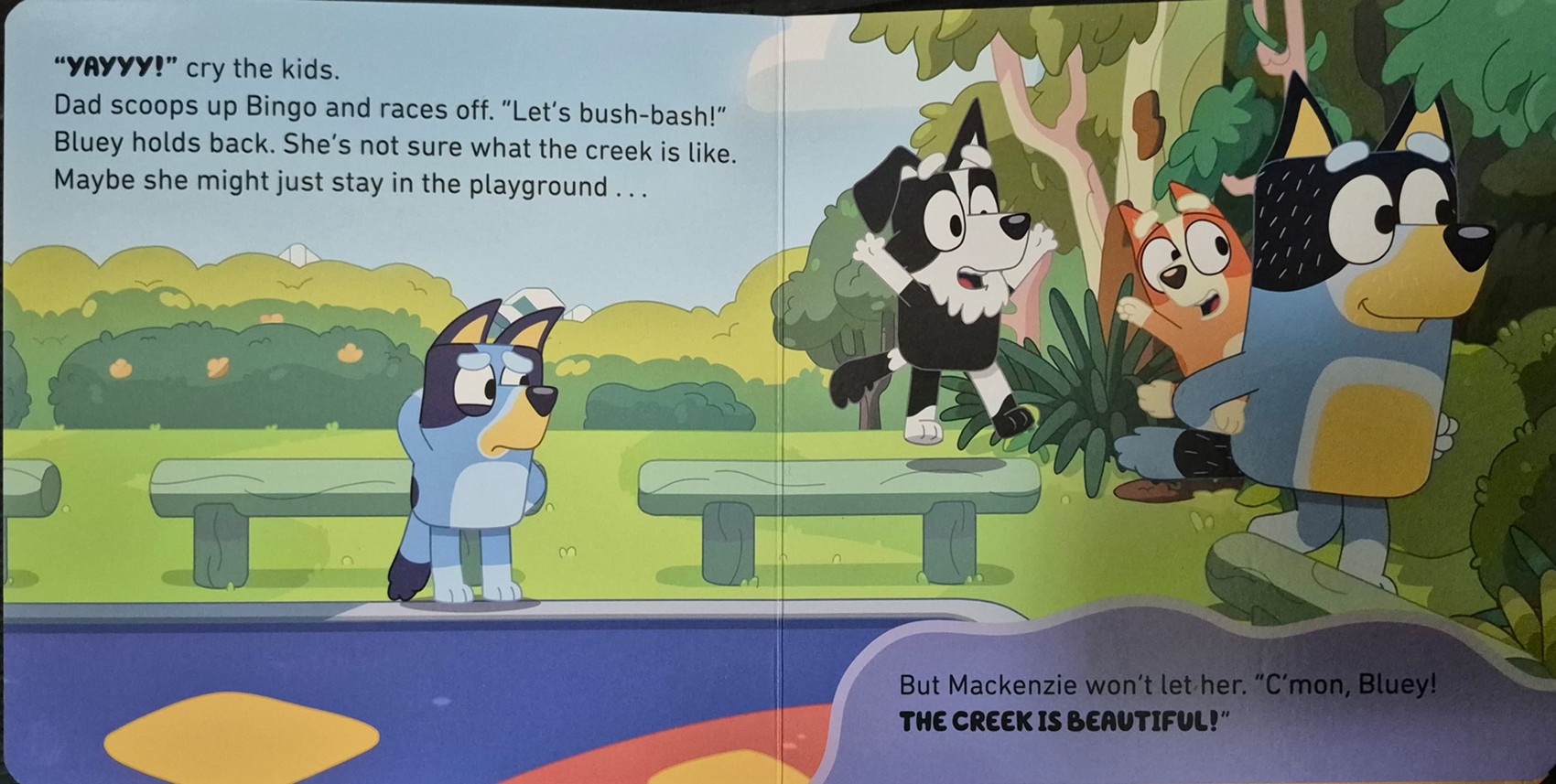 BOARD BOOK** 🍅🍓BLUEY THE CREEK