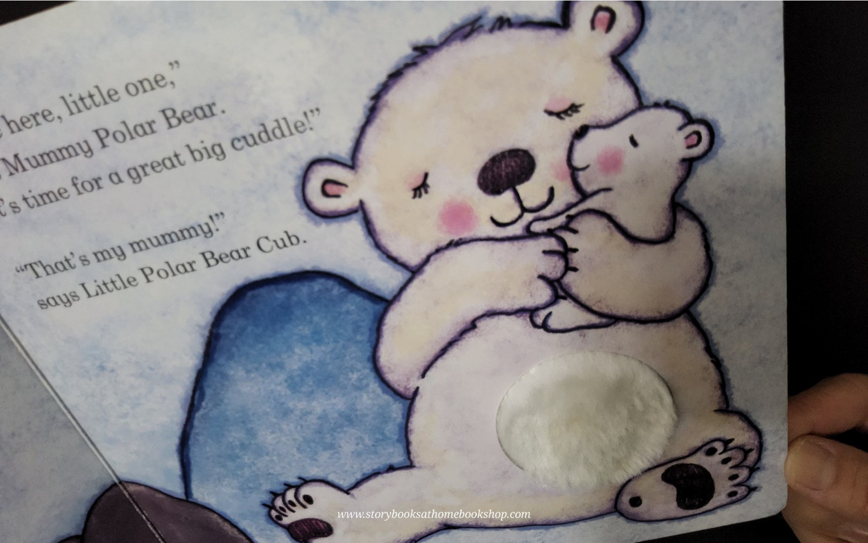 Board Book ** 🍅🍓Are you my Mummy? LITTLE POLAR BEAR