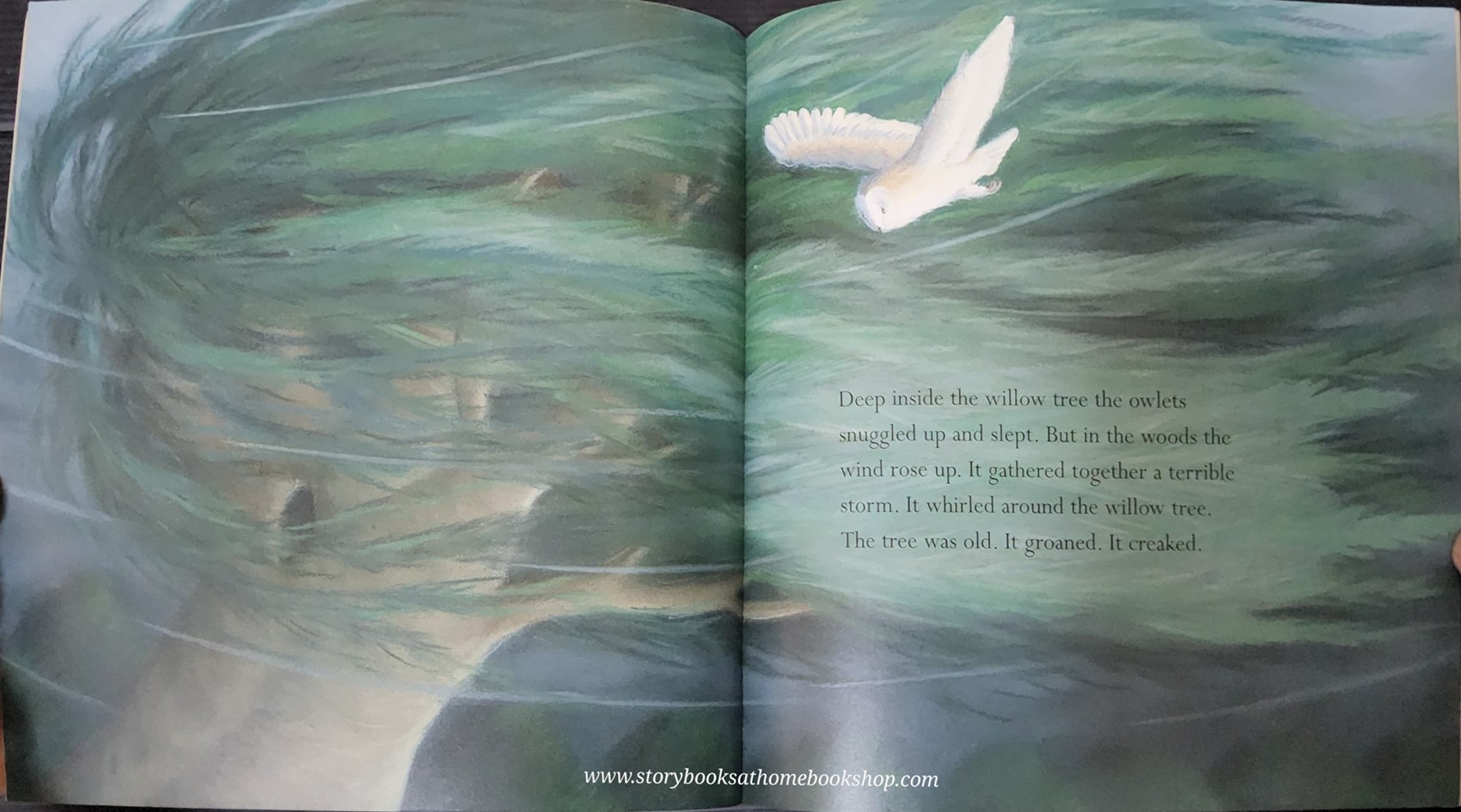 หนังสือนิทานปกอ่อน** 🍅🍅THE LITTLEST OWL BY CAROLINE PITCHER AND TINA MACNAGUHTON