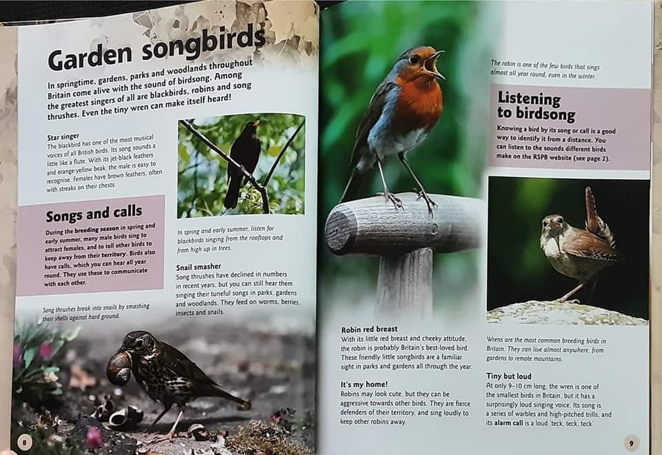 Knowledge Book** ð
ðBRITISH BIRDS