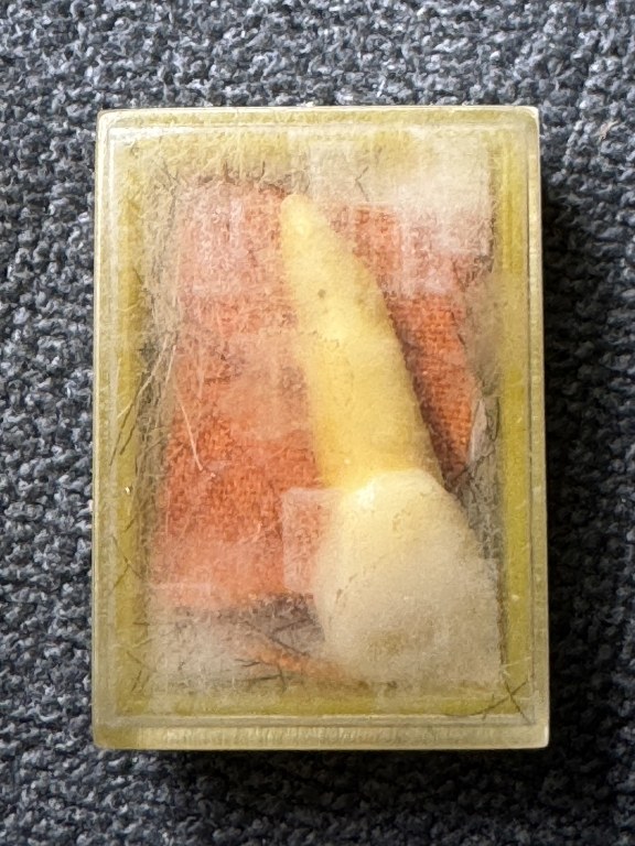 พระทันตธาตุ ครูบาฝ้าย วัดพระธาตุดอยตุง อ.แม่สาย จ.เชียงราย ได้มาจากดาบจรูญ อาศัยอยู่ที่ อ.แม่สาย จ.เชียงราย อายุ 68 ปี ปัจจุบันยังมีชีวิตอยู่ ดาบจรูญเป็นศิษย์ครูบาฝ้ายตั้งแต่ปี 2545 ดาบจรูญท่านได้พระทันตธาตุนี้มาเมื่อปี 2554