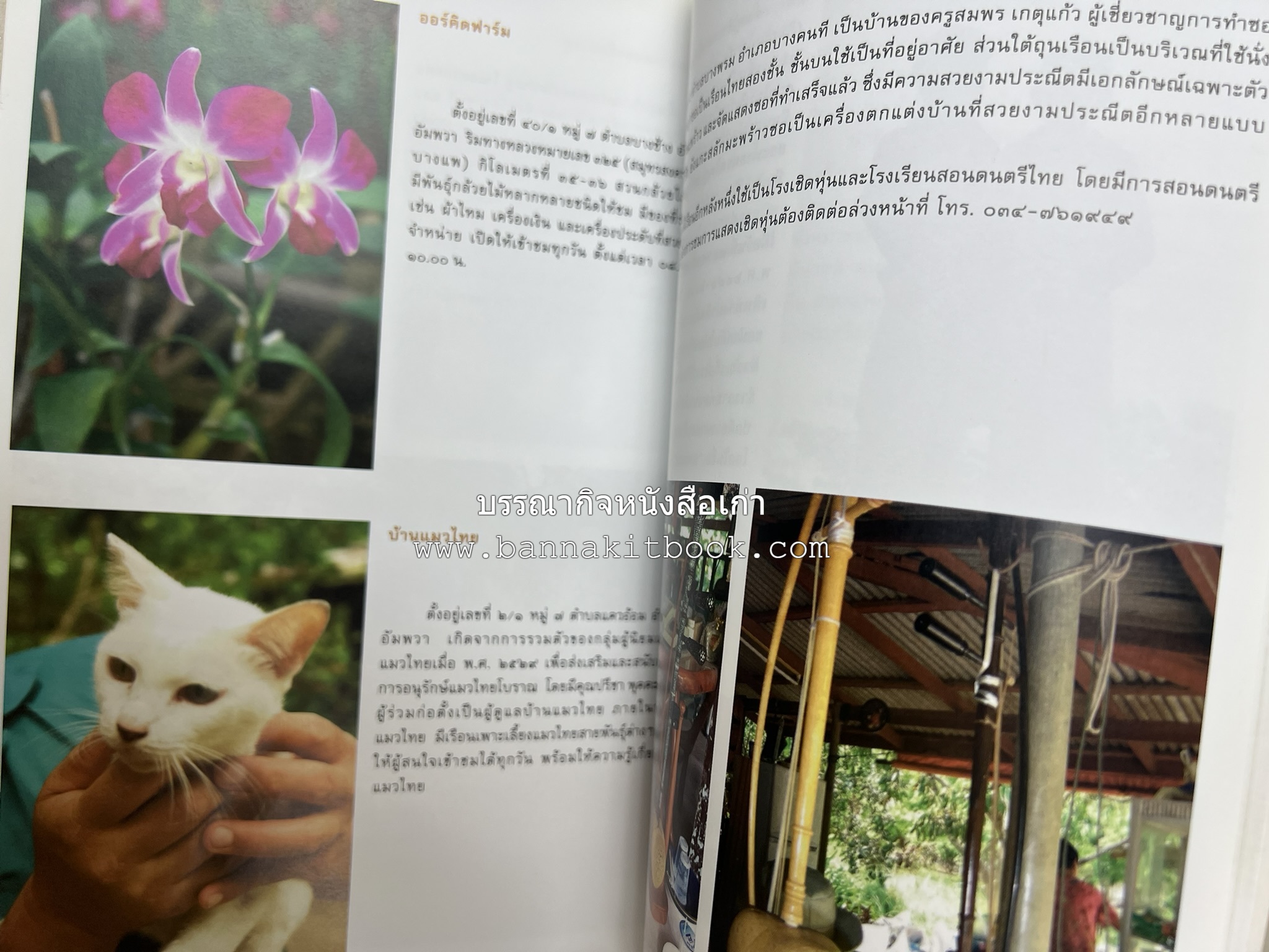 เที่ยวชุมชนอัมพวา โดย : รศ.ดร.วรรณศิลป์ พีรพันธ์ คณะสถาปัตยกรรม จุฬาลงกรณ์มหาวิทยาลัย.