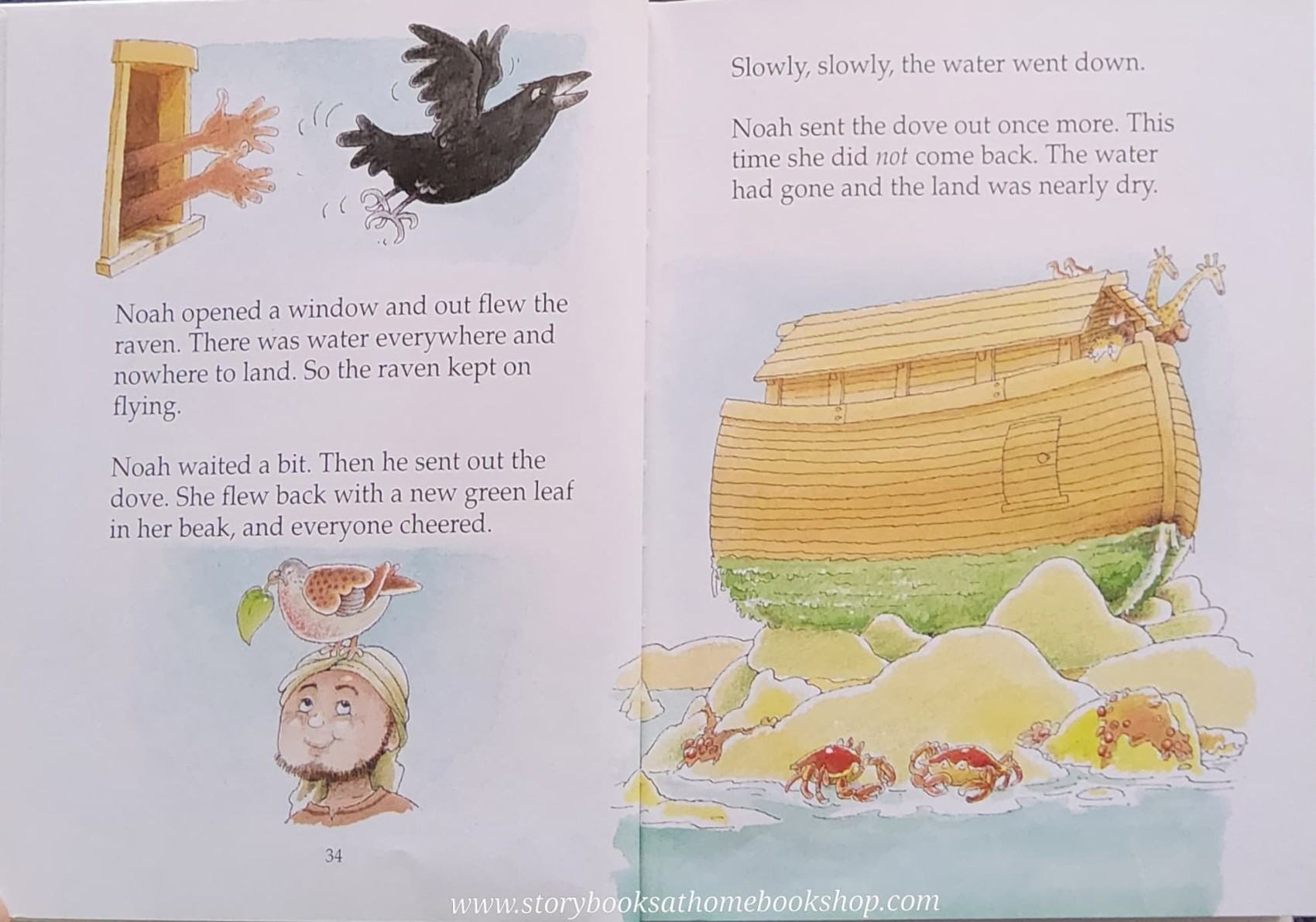 หนังสือนิทานปกแข็ง** 🍅🍓The Lion First Bible