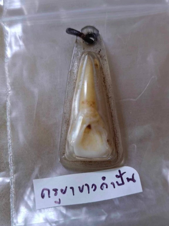 พระทันตธาตุ ครูบาขาวคำปัน วัดผาหนาม ท่านมรณภาพวัดพระธาตุหัวขัว ได้จากพ่อหนานชัยเดช ท่านเป็นคนทุ่งหัวช้าง จ.ลำพูน พ่อหนานชัยเดช ท่านได้รับพระทันตธาตุนี้มา ปี 2538 หลังจากครูบาขาวคำปันมรณภาพ พ่อหนานชัยเดชก็กลับมาอยู่บ้าน อ.ทุ่งหัวช้างจนเสียชีวิตเมื่อ