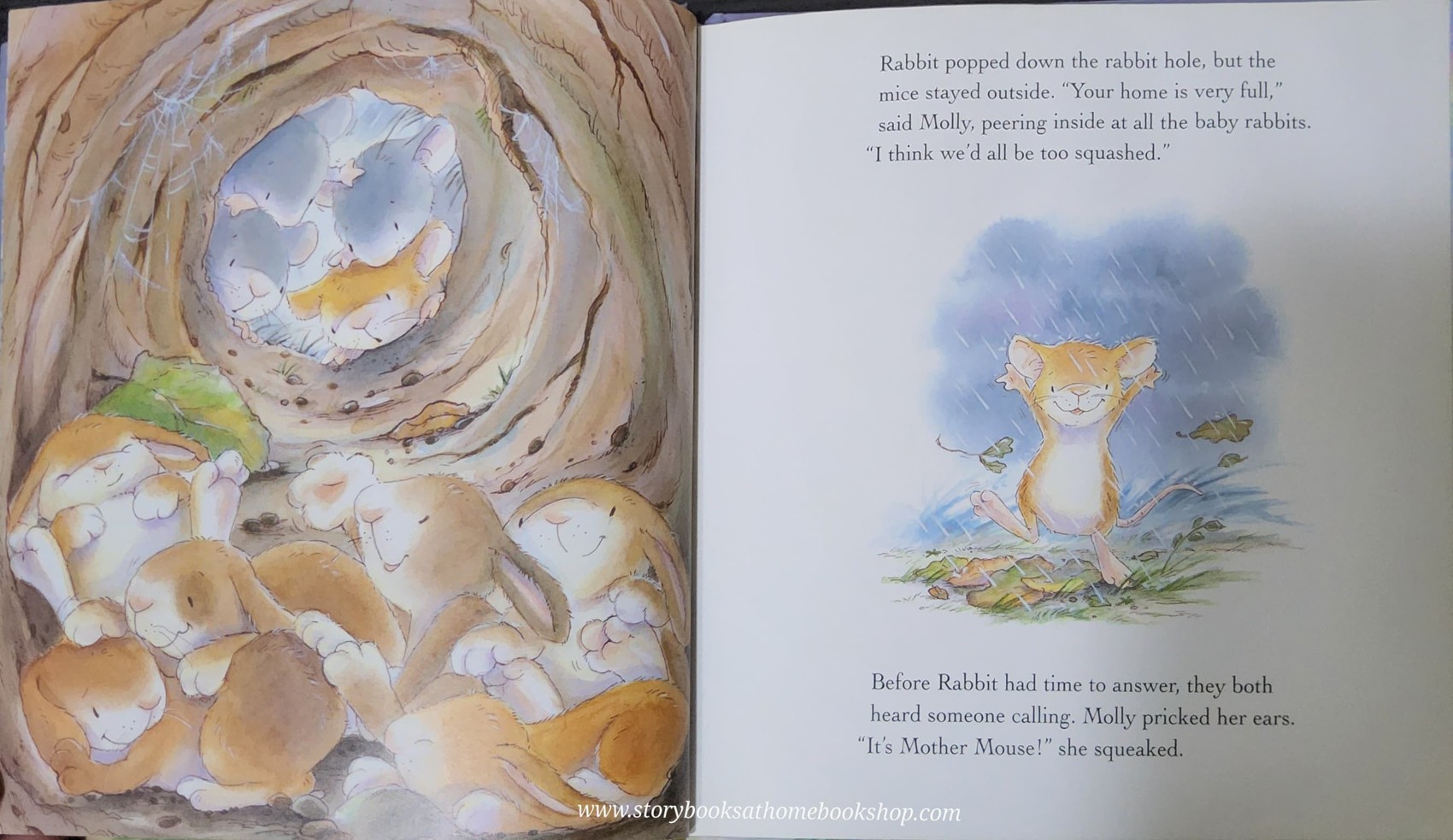 หนังสือนิทานปกแข็ง** 🍅🍓MOLLY AND THE STORM BY CHRISTINA LEESON AND GABY HANSEN