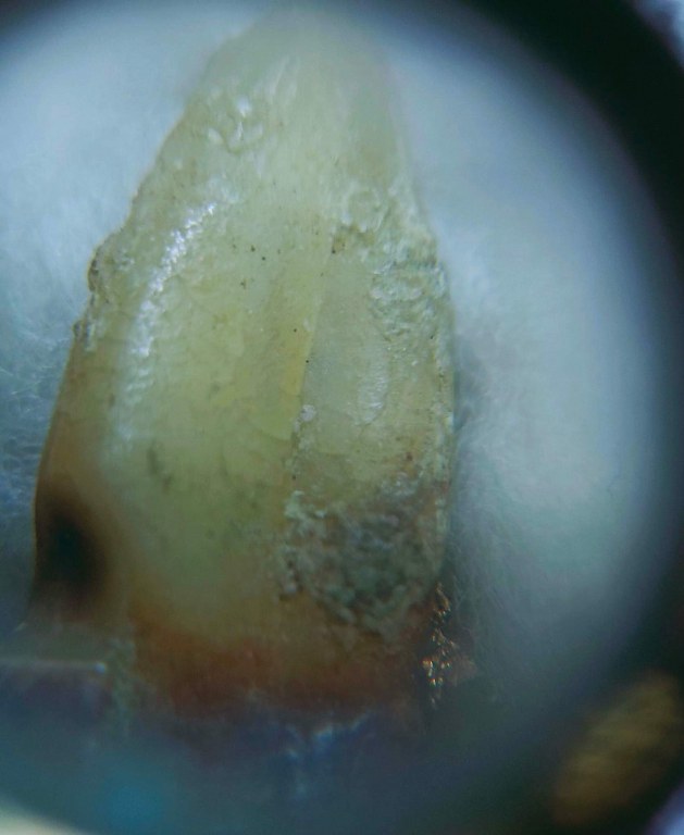 พระทันตธาตุ และเม็ดประคำ ครูบาอินโต คัธวังโส วัดบุญยืน จ.พะเยา ได้มาจากครูประหยัด อายุ ๖๐ ปี (บันทึก พ.ศ.๒๕๖๖) เคยสอนอยู่ที่โรงเรียนสันโค้ง จ.เชียงราย ปัจจุบัน (พ.ศ.๒๕๖๖) เกษียณอายุแล้ว