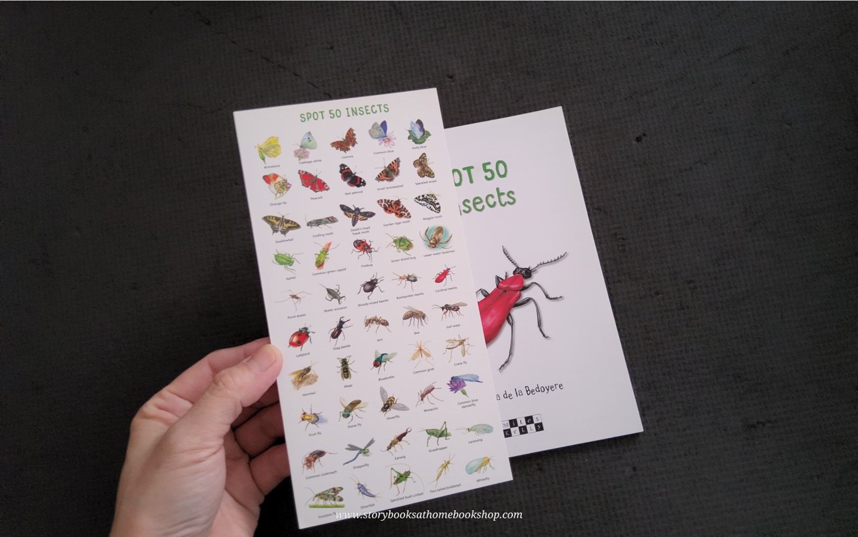 KNOWLEDGE BOOK** 🍅🍓 SPOT 50 INSECTS HOW TO IDENTIFY 50 SPECIES
