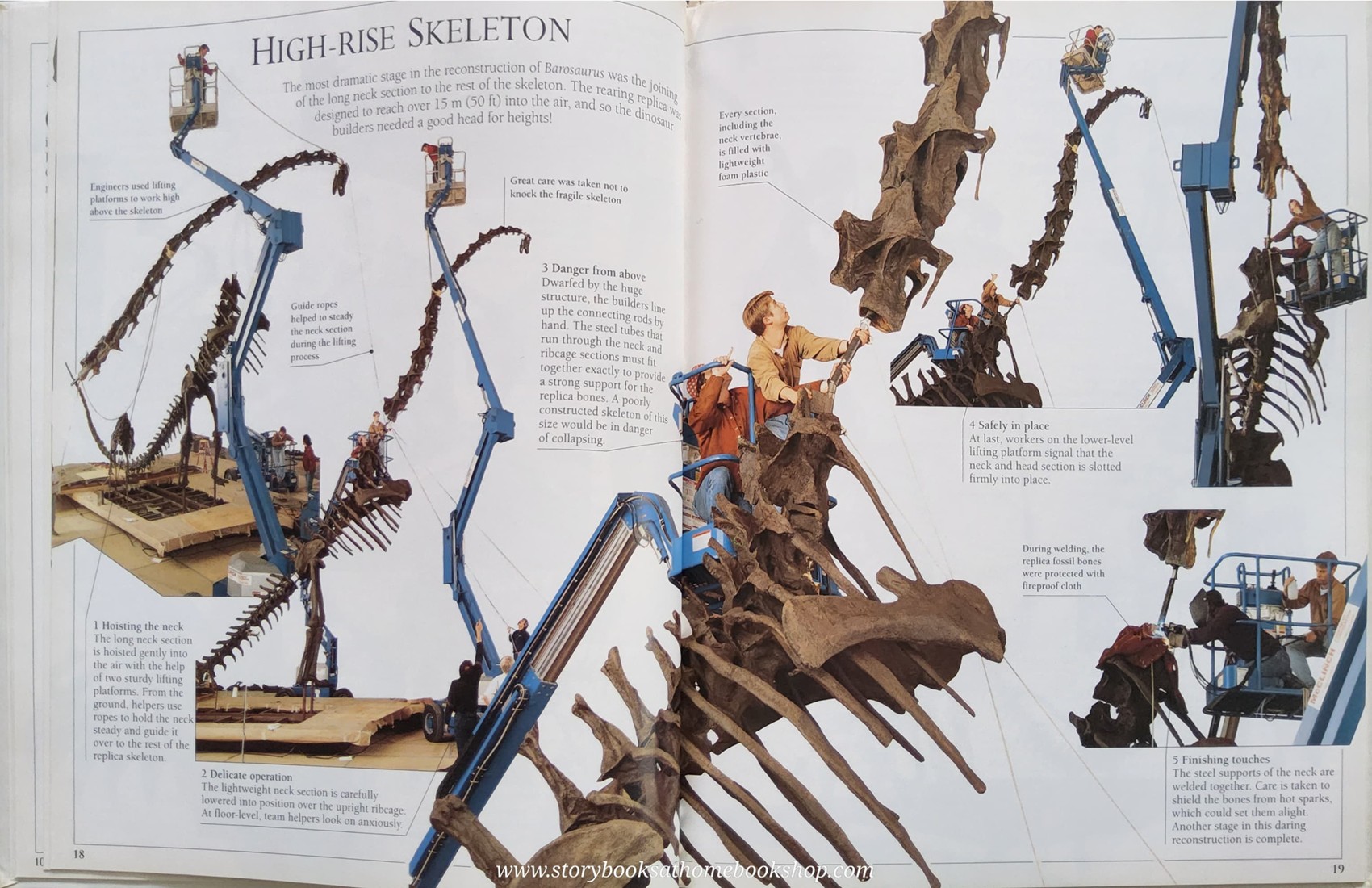 KNOWLEDGE BOOK** ♥️THE NATURAL HISTORY MUSUEM BAROSAURUS