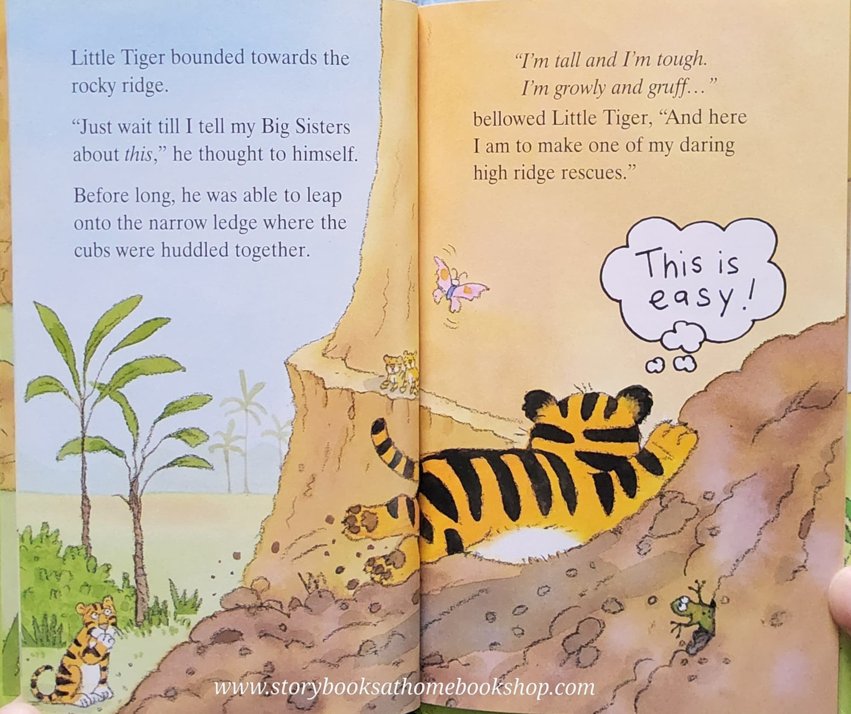 หนังสือนิทานปกแข็ง** 🍅BOLD LITTLE TIGER