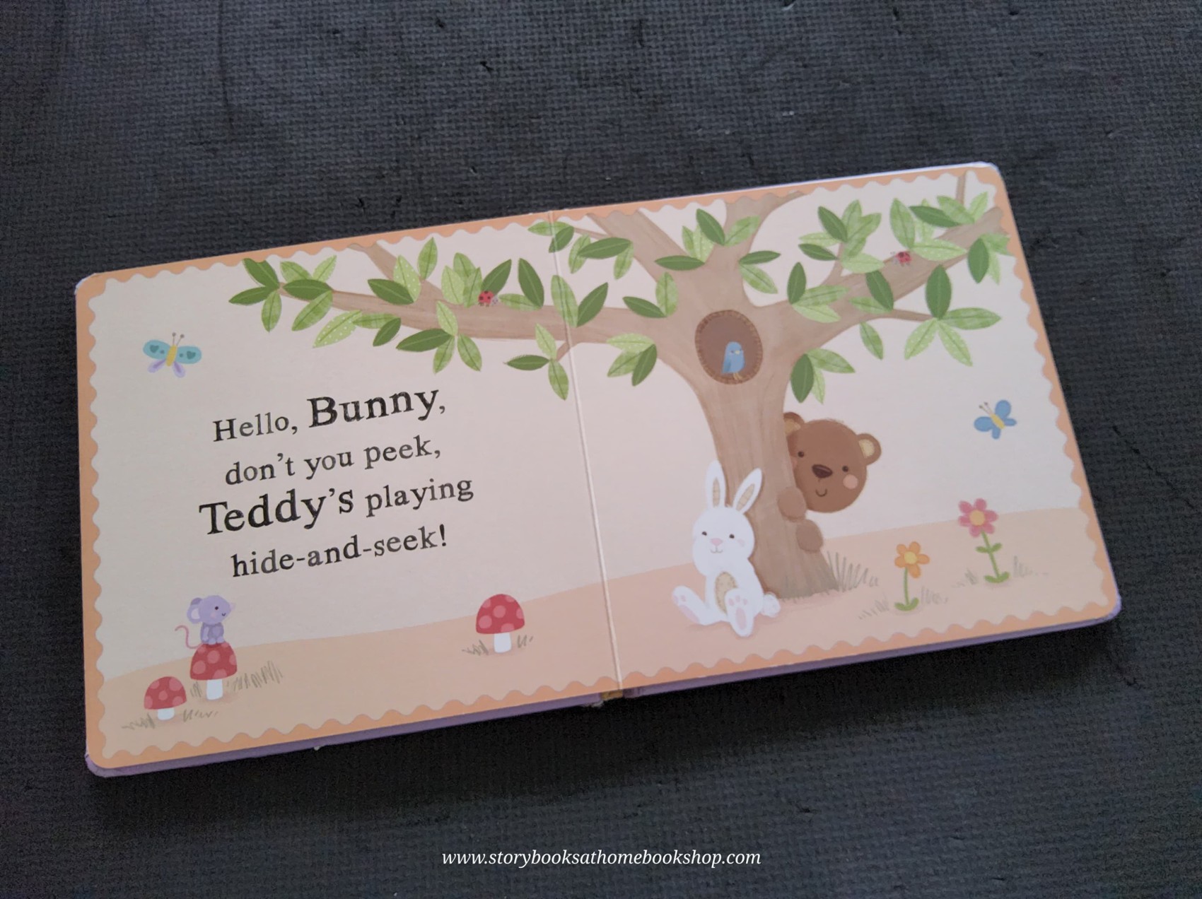 TOUCH AND FEEL BOARD BOOK** 🍅🍓HELLO BABY!