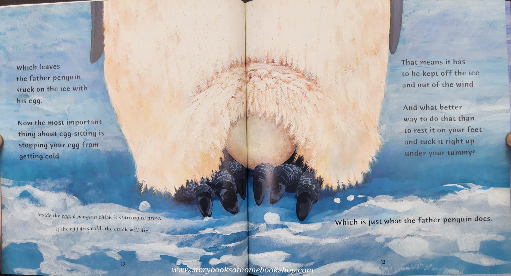 หนังสือนิทานปกอ่อน** ♥️THE EMPEROR'S EGG BY MATTIN JENKINS