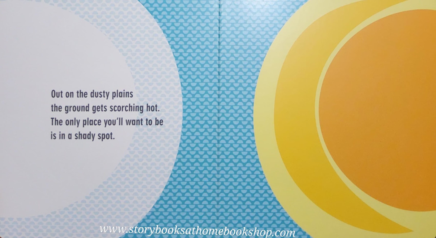 BOARD BOOK ** ð
THE SAFARI SETð