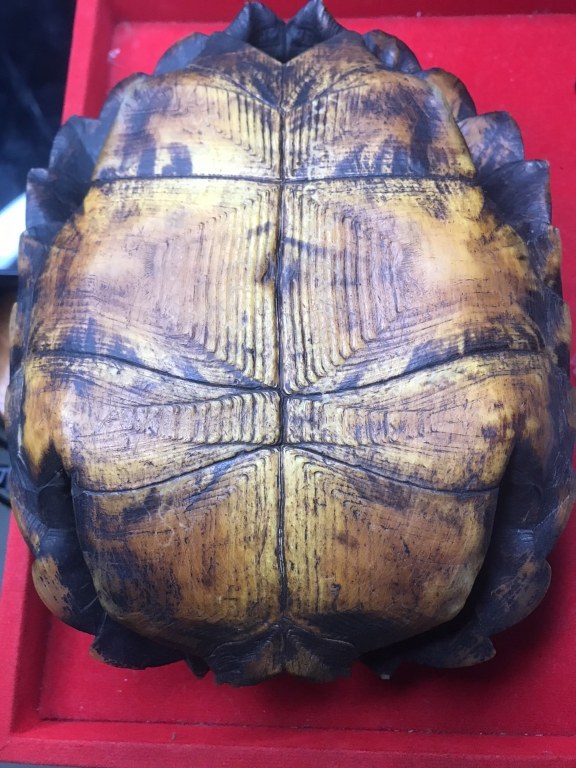 กระดองเต่า มีรอยจาร ครูบาชัยยะวงศา วัดพระพุทธบาทห้วยต้ม จ,ลำพูน ได้มาจากหนานป๋อง อายุ 64 ปี เคยบวชรับใช้ครูบาวงศ์ สึกเมื่อปี 2553 สึกออกมาเป็นฆาราวาส อาศัยอยู่ที่บ้านป่าไผ่ อ.ลี้ ได้รับของหลายชิ้นมาจากครูบาวงศ์ หลวงปู่เสกให้ในกุฏิ มอบให้หนานป๋อง