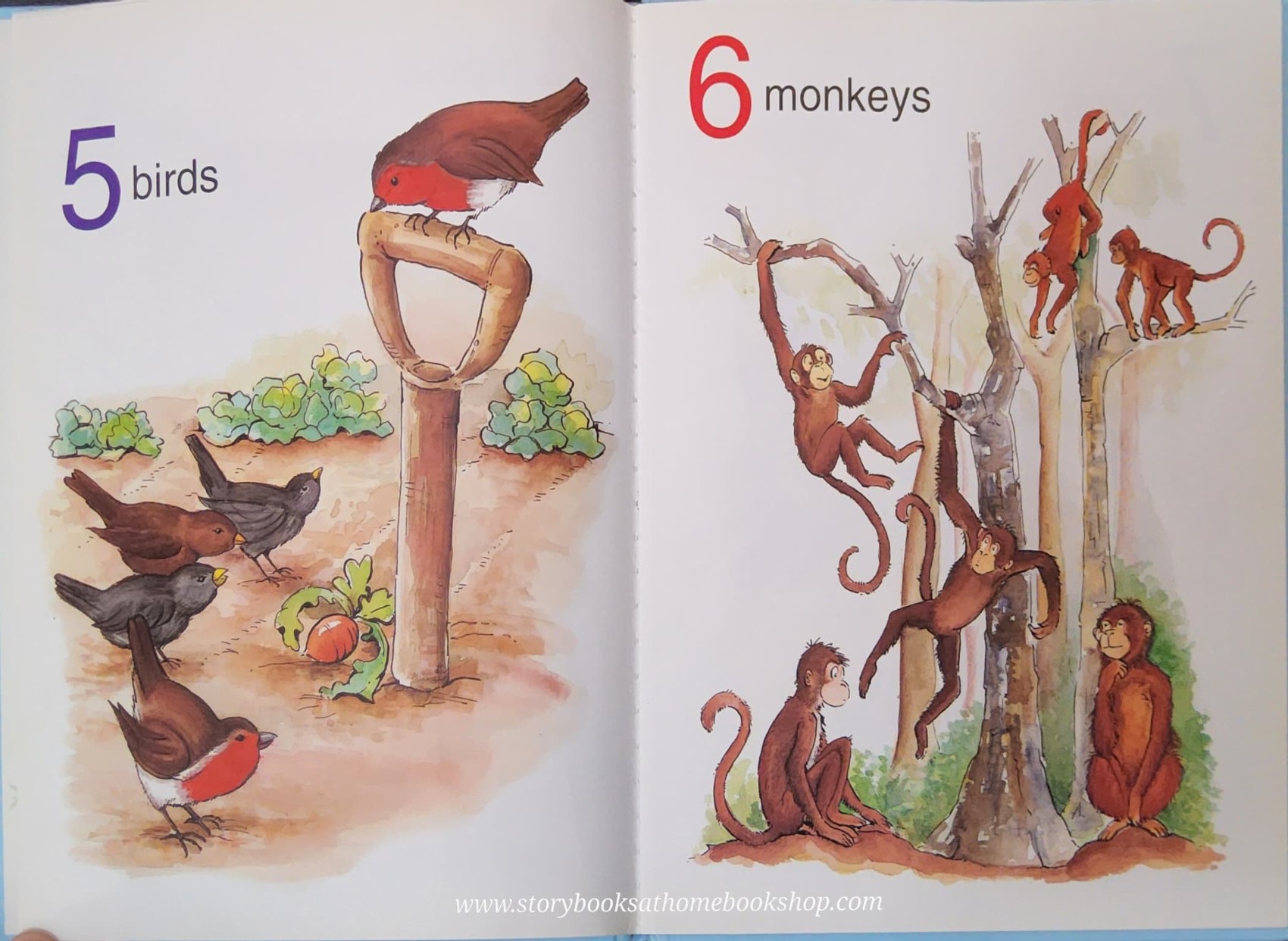 หนังสือนิทานปกแข็ง** 🍅MY ANIMAL COUNTING