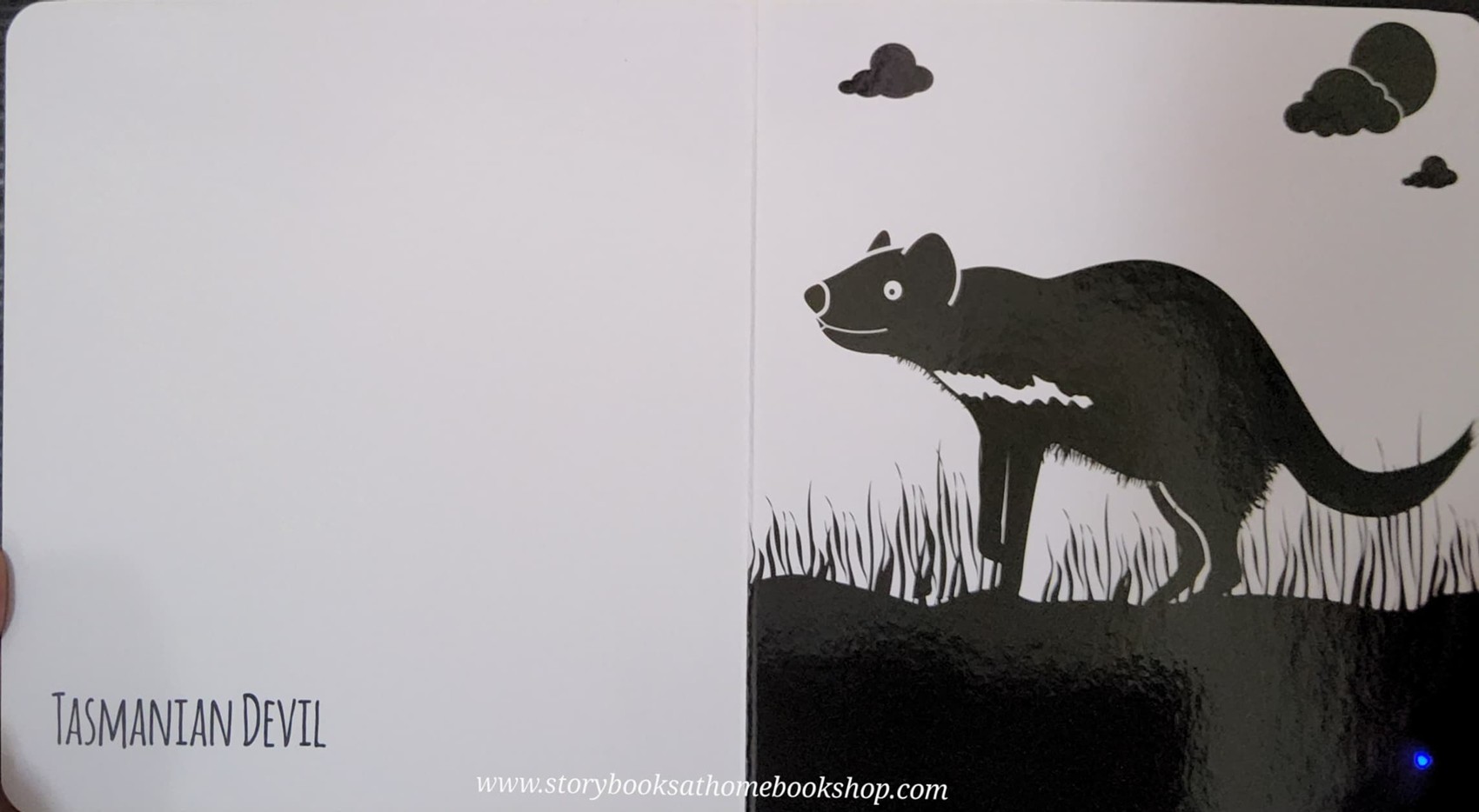 BOARD BOOK** 🍅🍅EXTRAORDINARY ANIMALS FROM THE LAND OF OZ BY RUTH BRADFORD