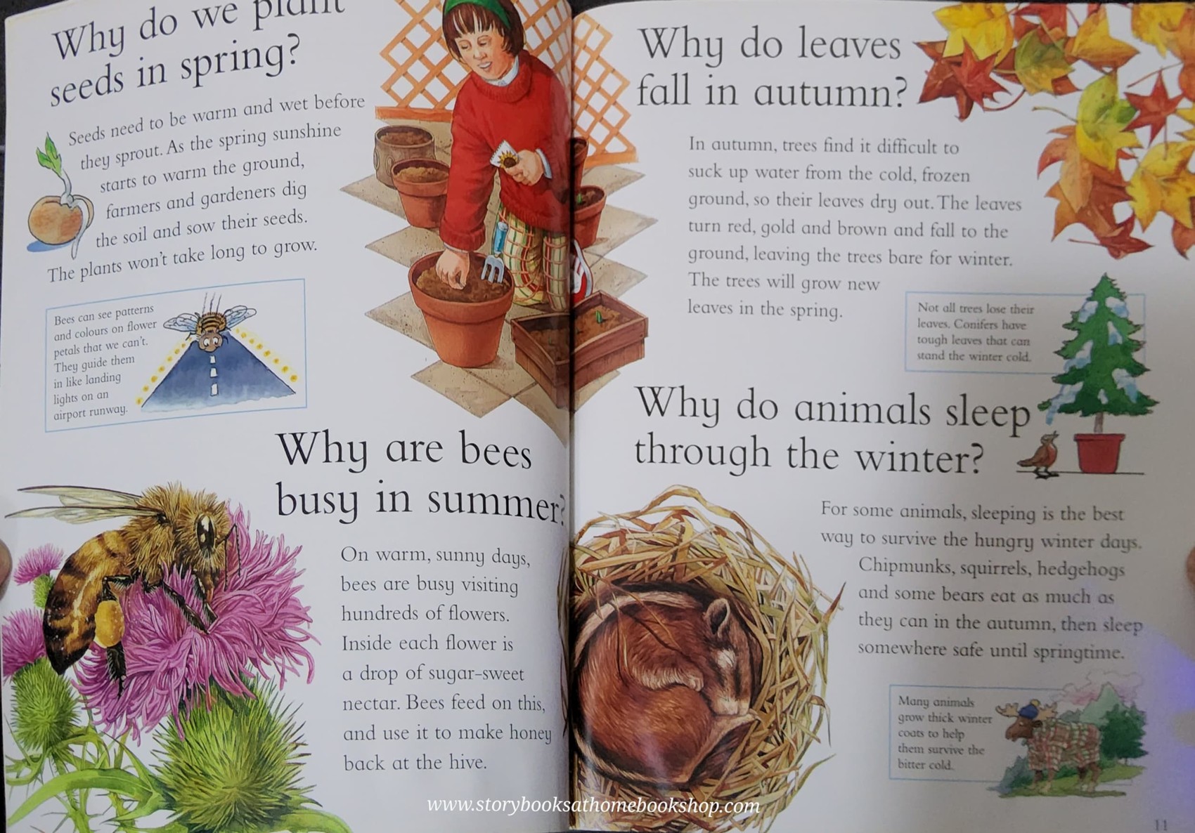 KNOWLEDGE BOOK** 🍅🍓I WONDER WHY THE SUN RISES AND OTHER QUESTIONS ABOUT TIME AND SEASONS